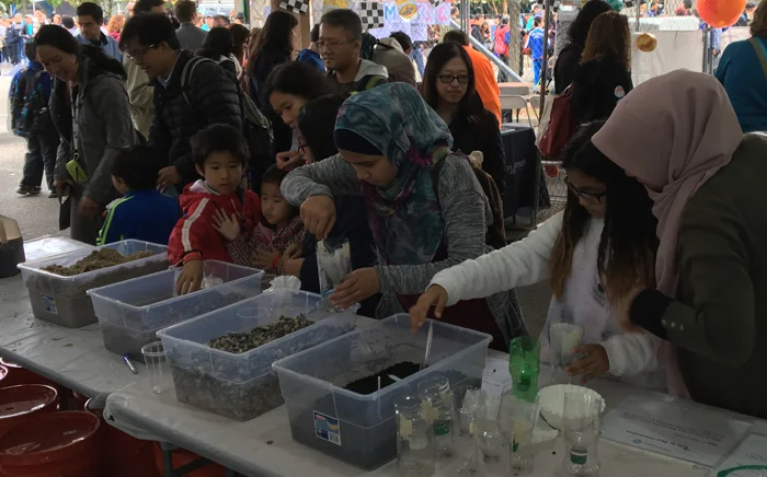 Our Make-Your-Own Water Filter Station was awarded a prestigious Make Magazine Editors’ Choice Red Ribbon for “Excellence in Education” at the 2016 World Maker Faire! During the 2 day event in New York City around 700 kids made their own water filters. 