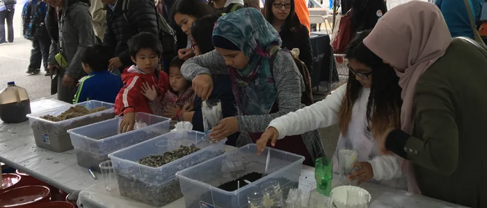 We really focused on helping the kids connect-the-dots between the station & our field work. 