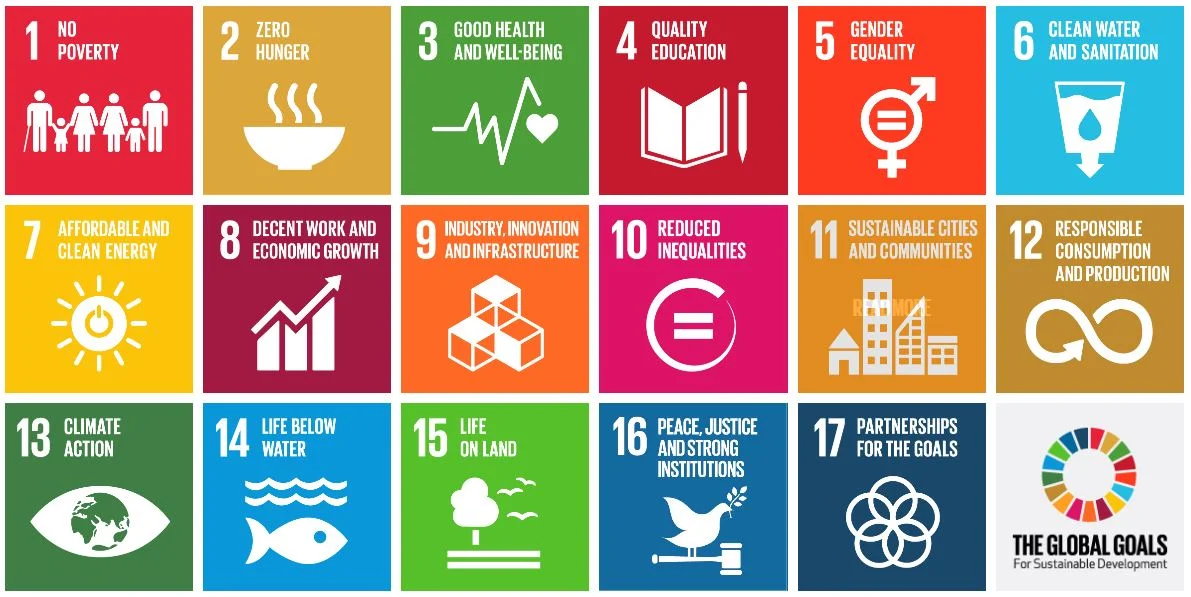 The Sustainable Development Goals