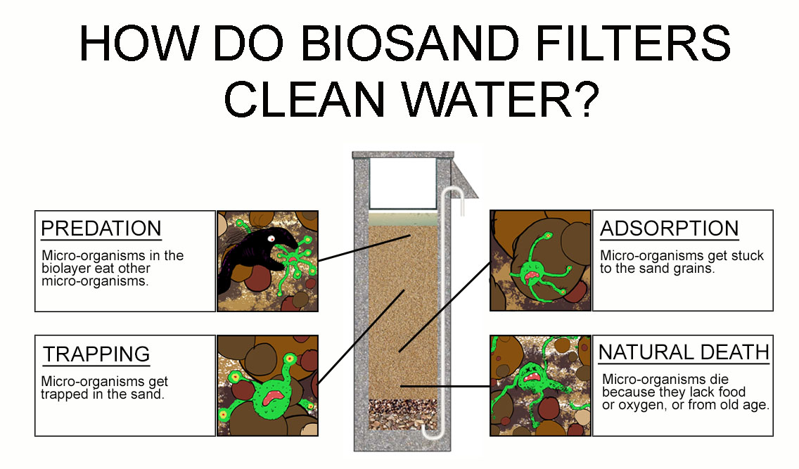 BioSand_Filter_Pathogen_Removal.jpeg