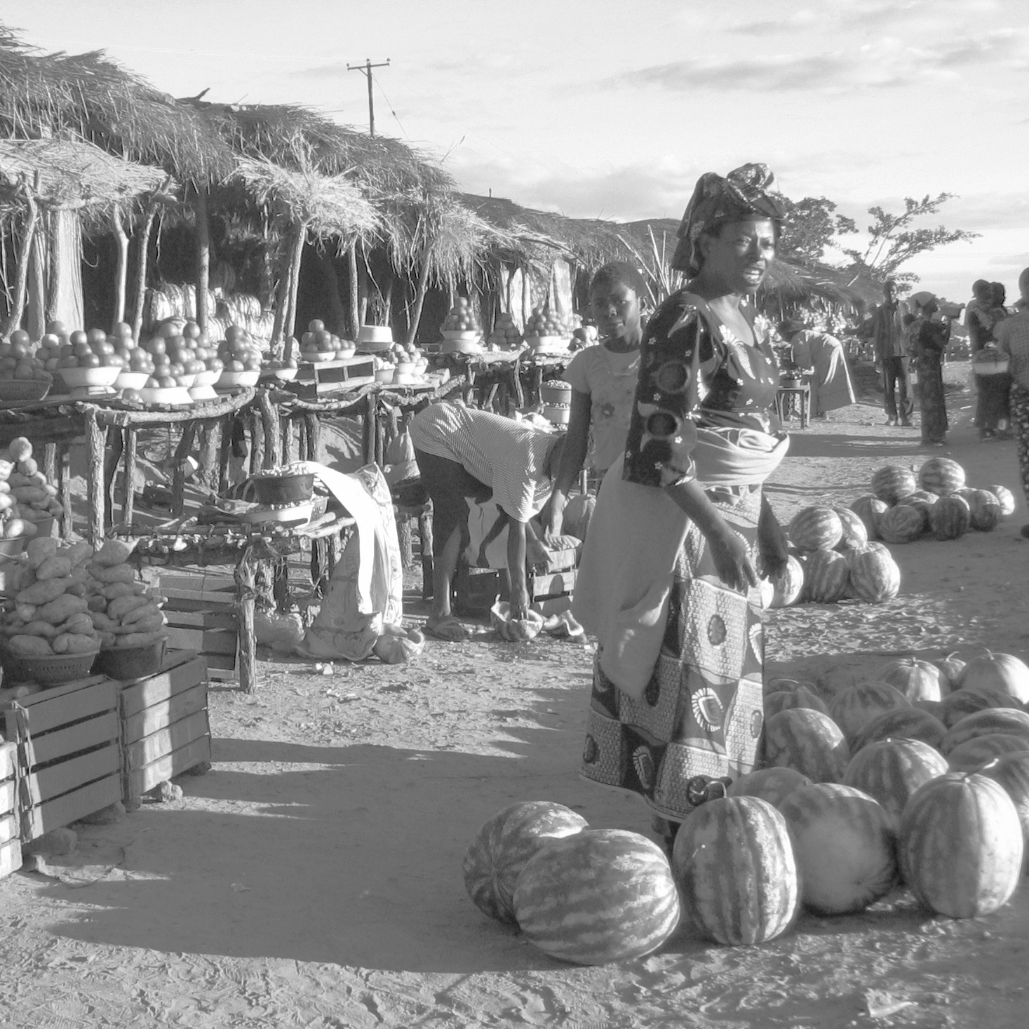 zambia01.jpg