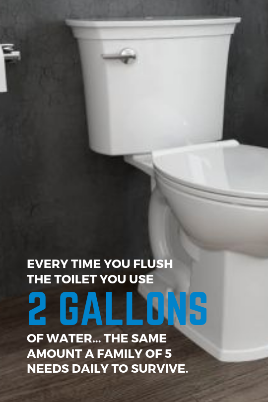CLEAN WATER FLUSH.png