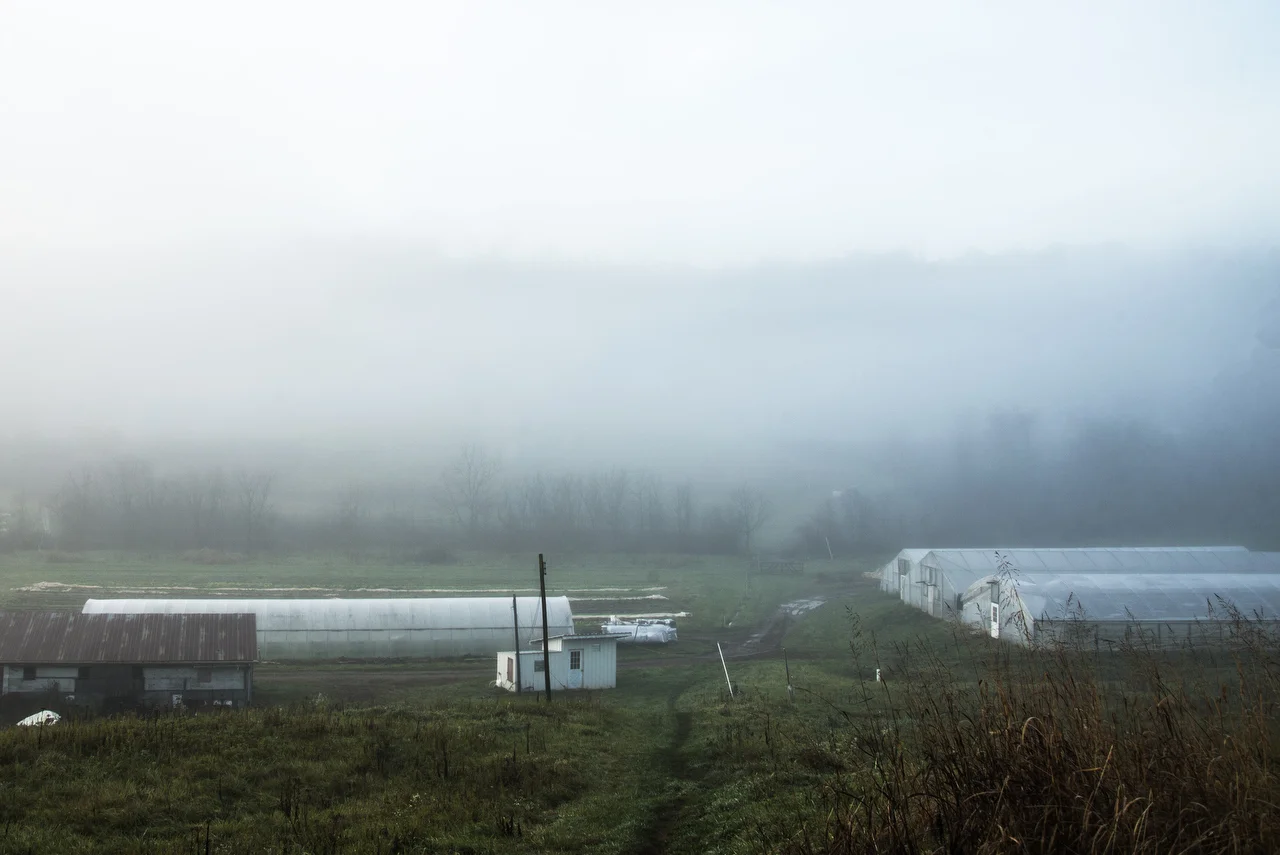  Green Edge Organic Gardens, Athens, Ohio 