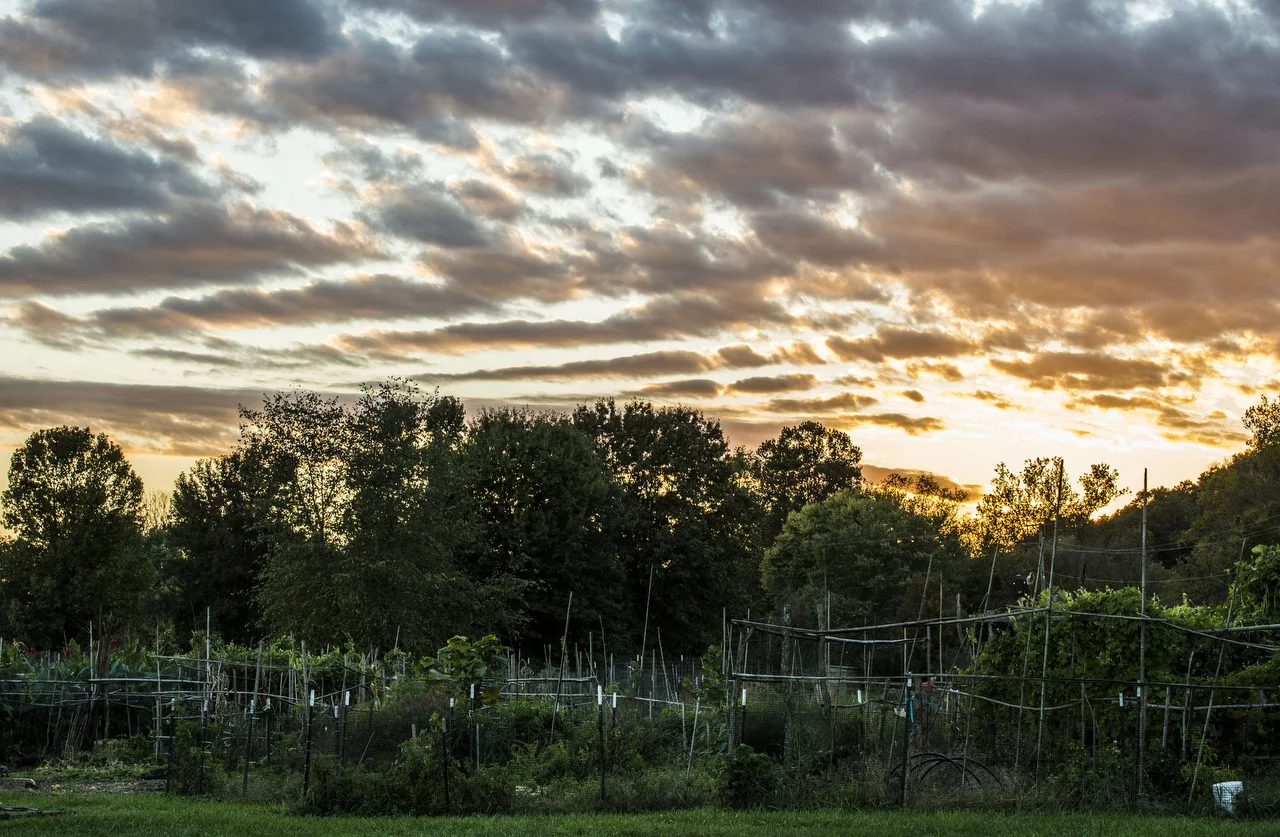  West Side Community Gardens, Athens, Ohio 