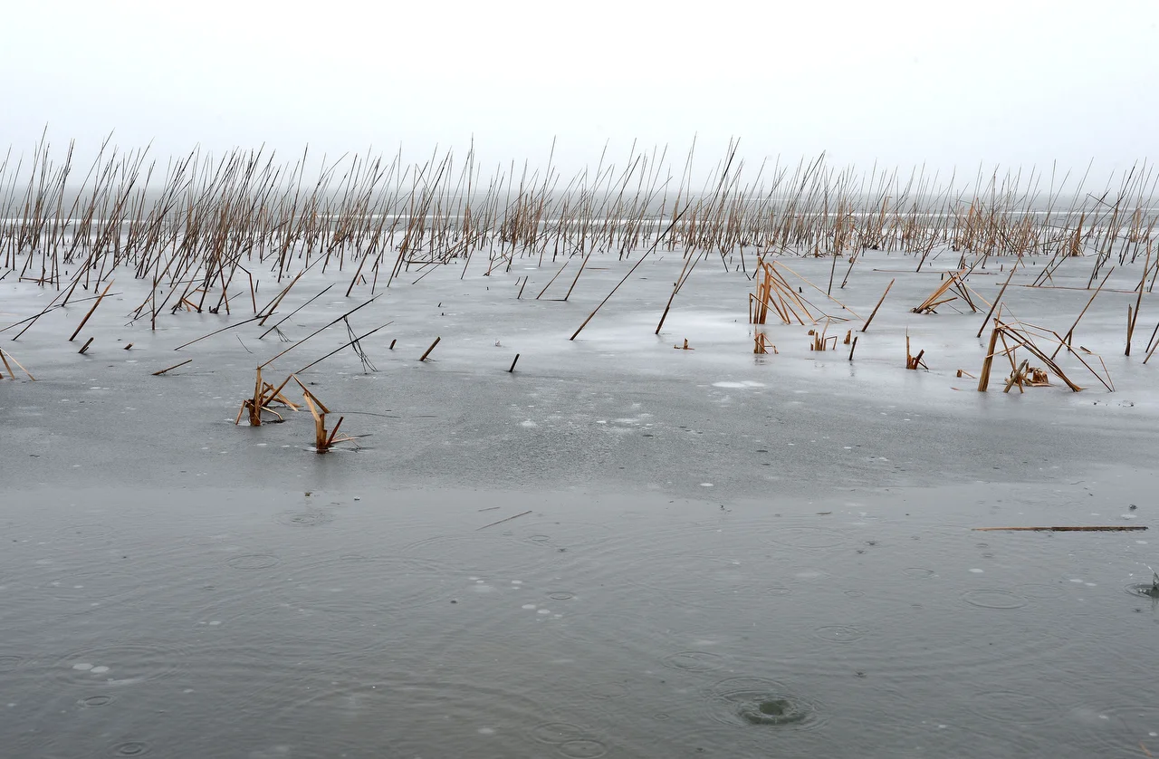  East Harbor State Park, Marblehead, Ohio 