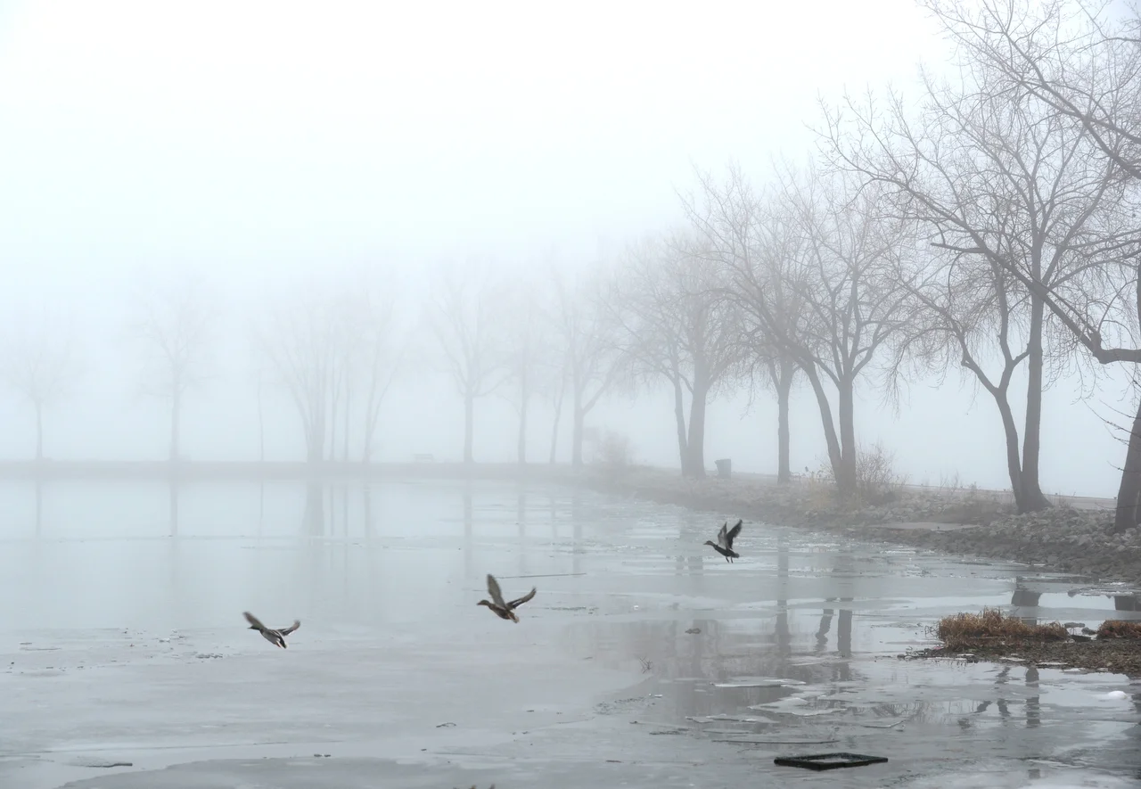  Sandusky Sailing Basin, Sandusky, Ohio 