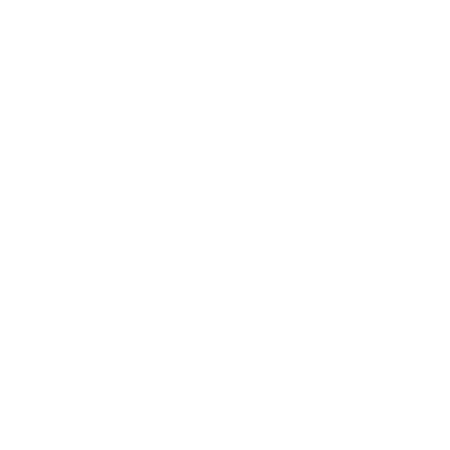 The Scruggs Law Firm