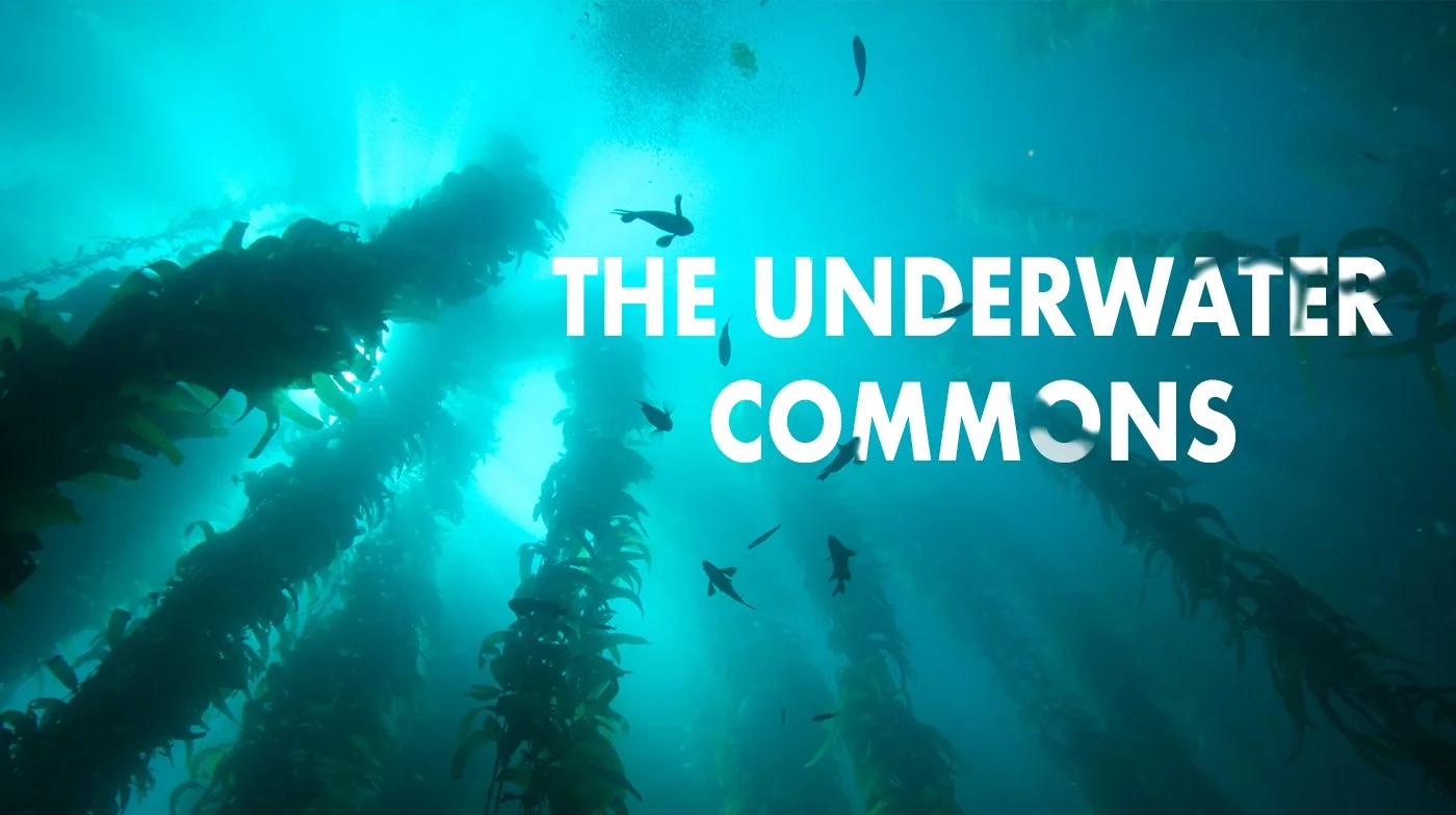 underwater-commons-banner.jpg