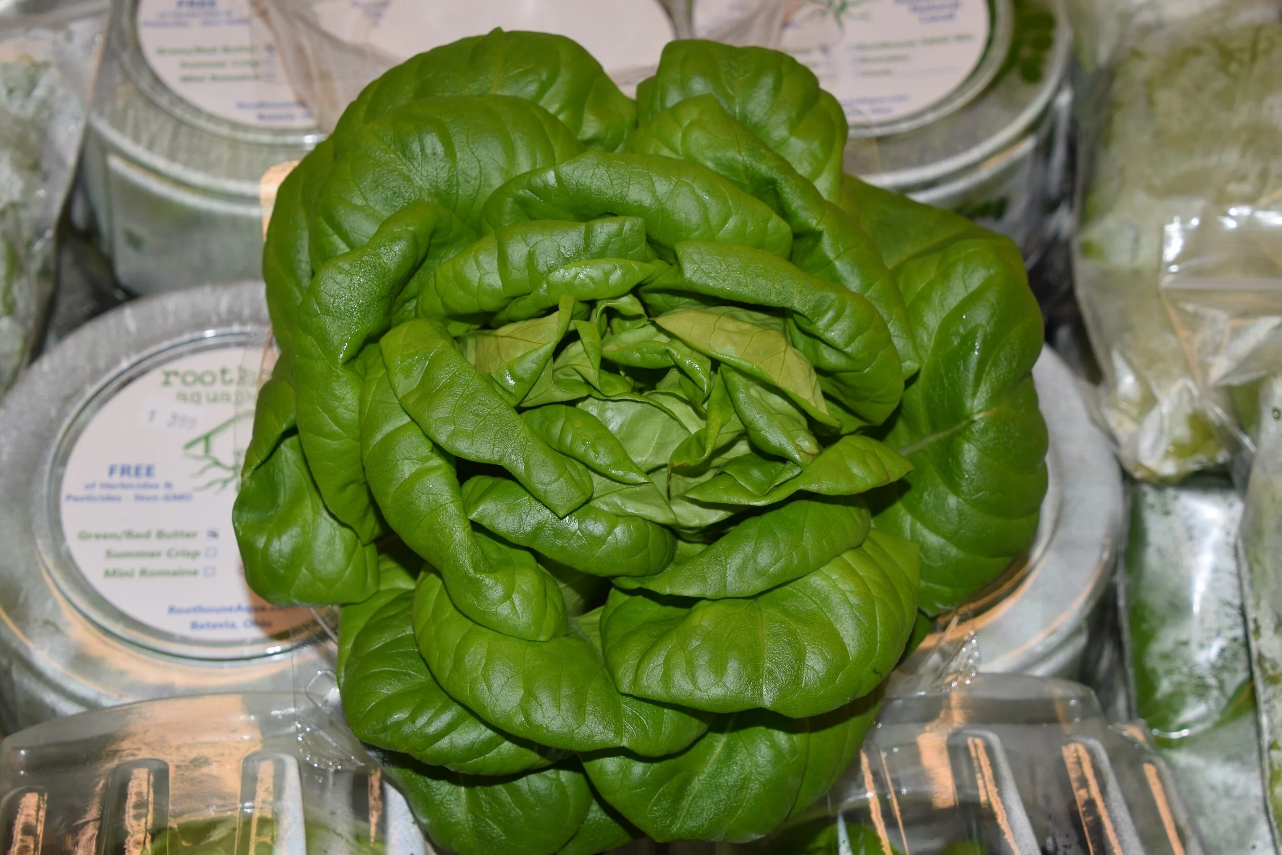 Produce — Country Fresh Farm Market