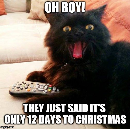 Twelve Days of Christmas