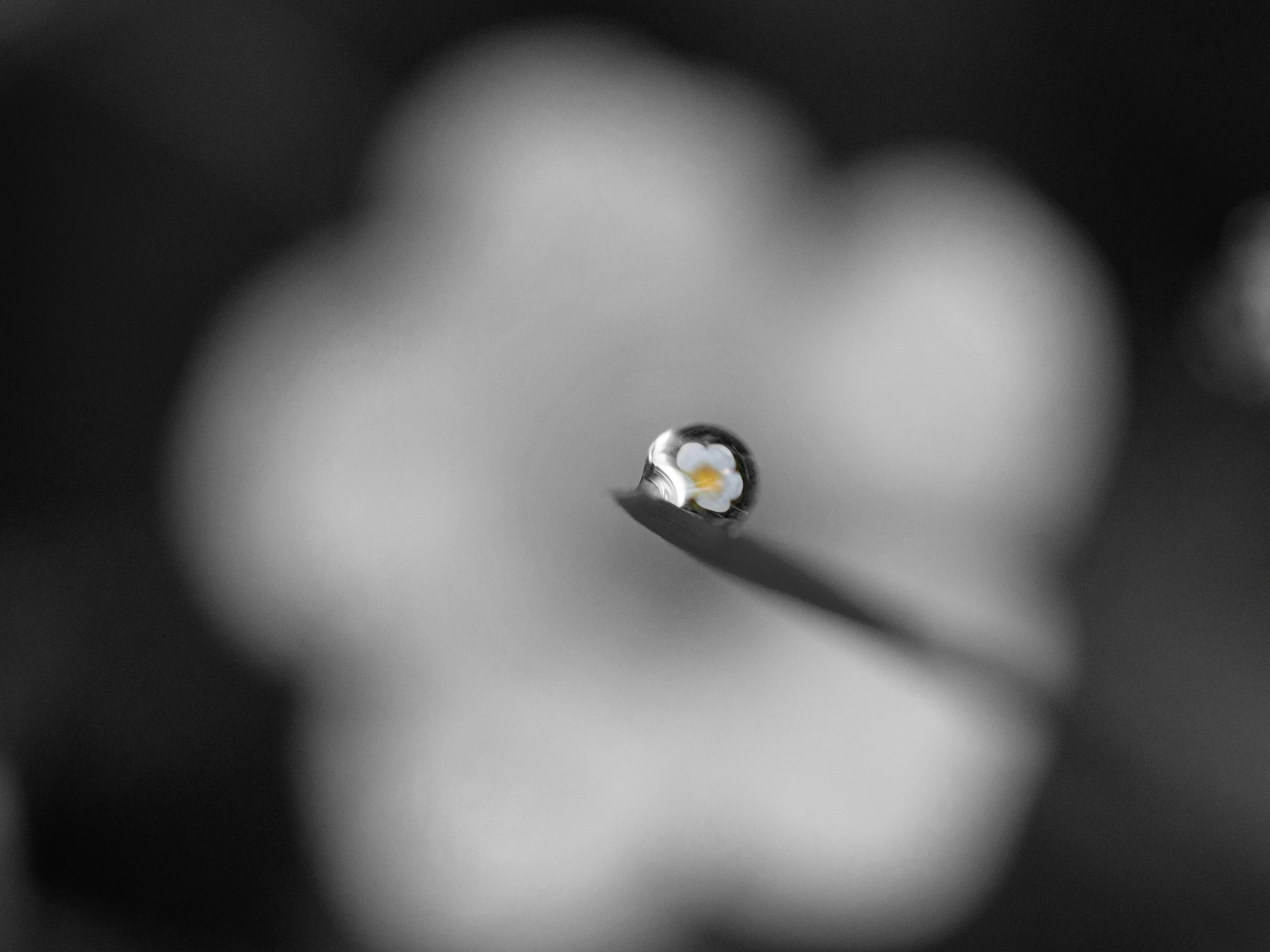 aaron-burden-267491-unsplash=spotcolour.jpg