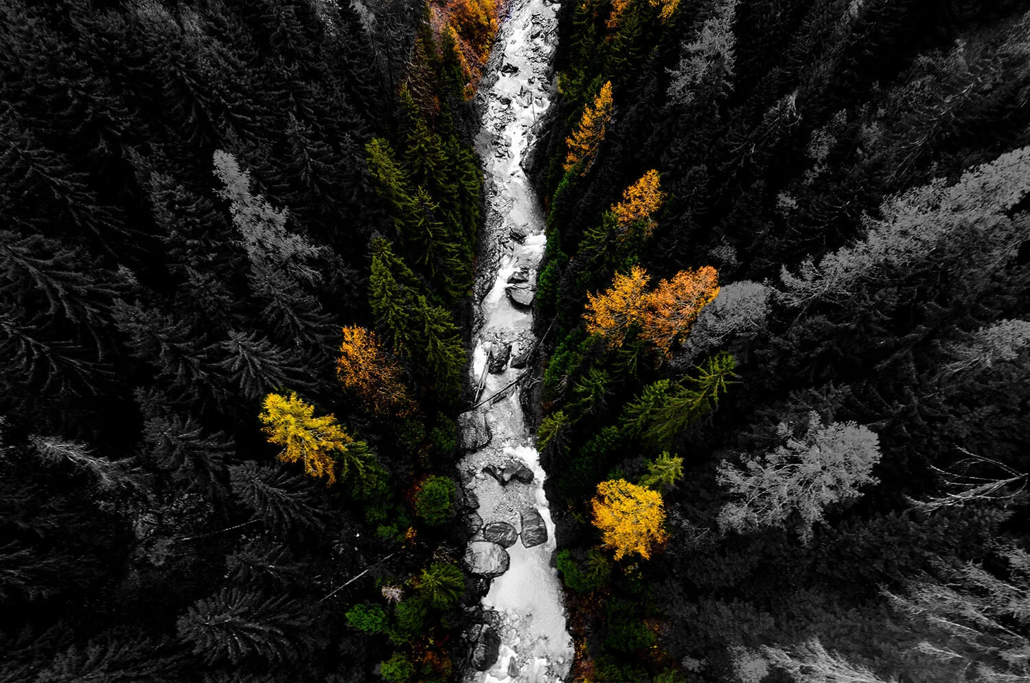 joao-branco-bqkny17rS6o-unsplash-spot-colour.jpg