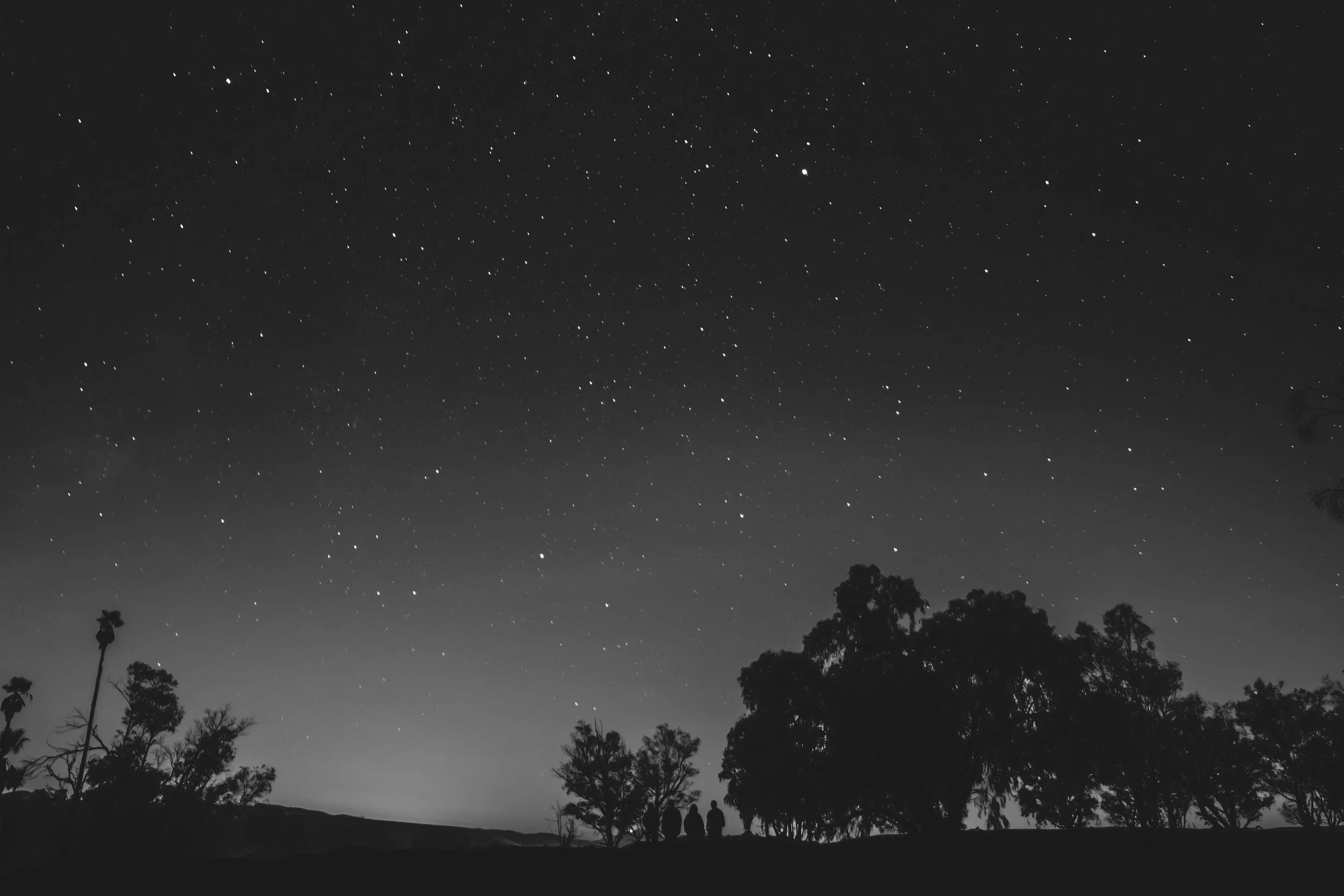 MY BOOK, OR, AM I A NARCISSIST?