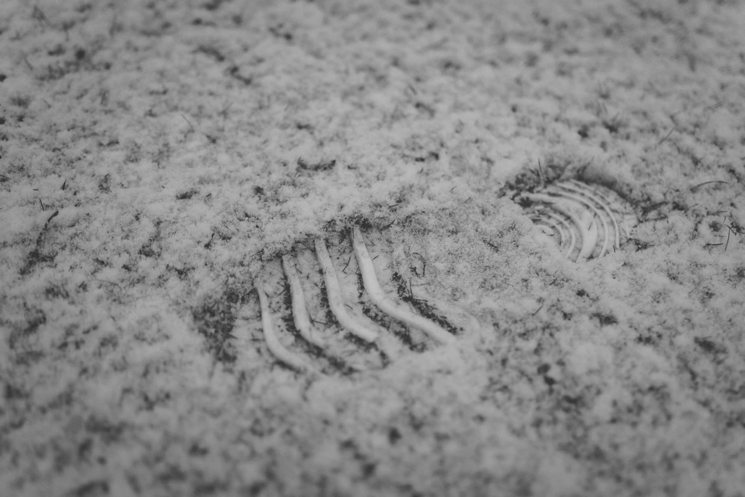 TINDER IN A BLIZZARD - A SYMPTOM OF  A WHOLE LOT MORE