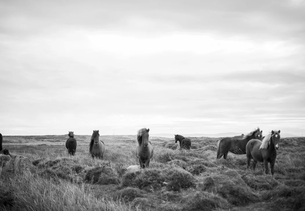 35 reasons to enter therapy