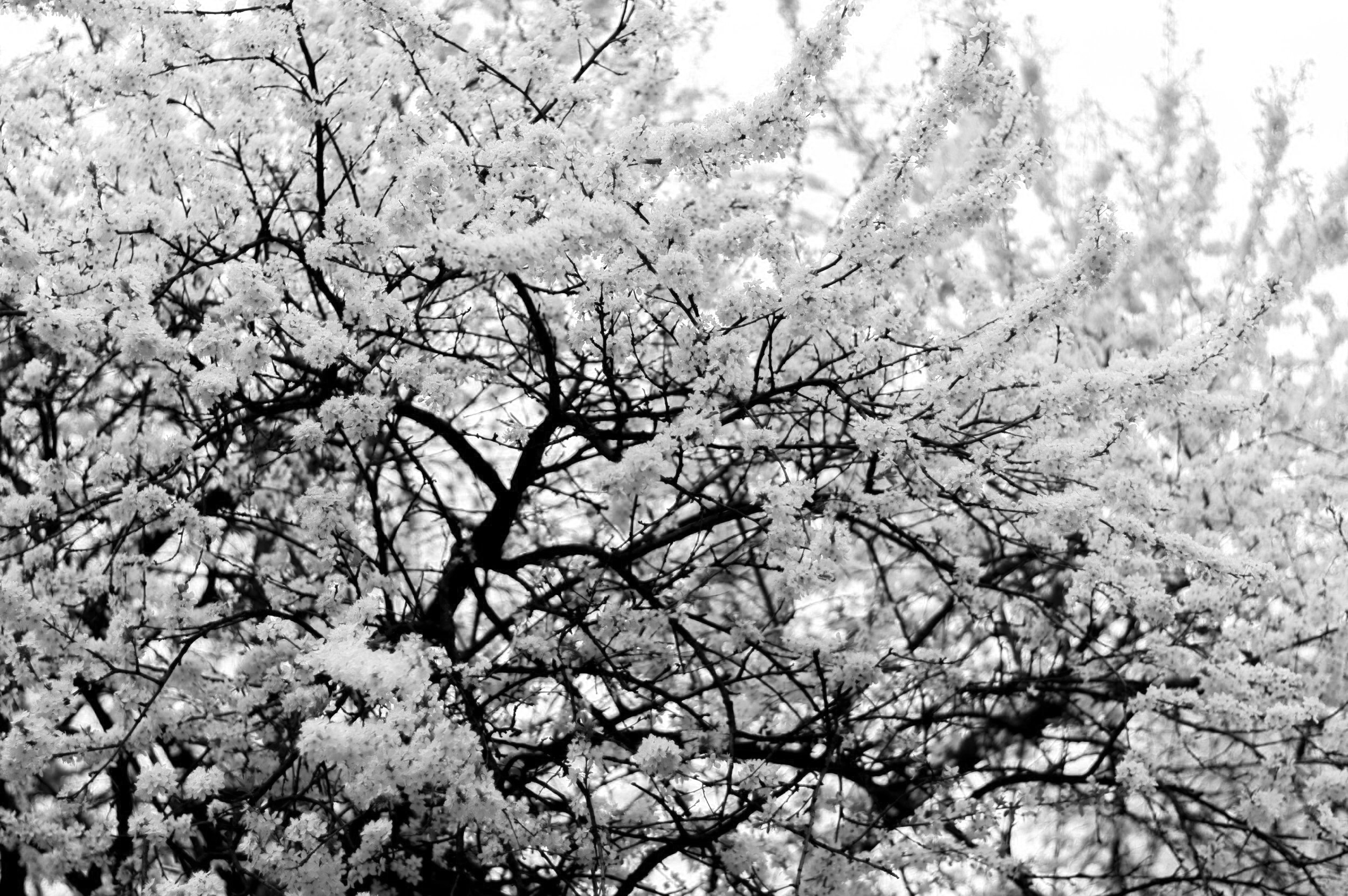 WHAT IT IS LIKE TO OPEN UP