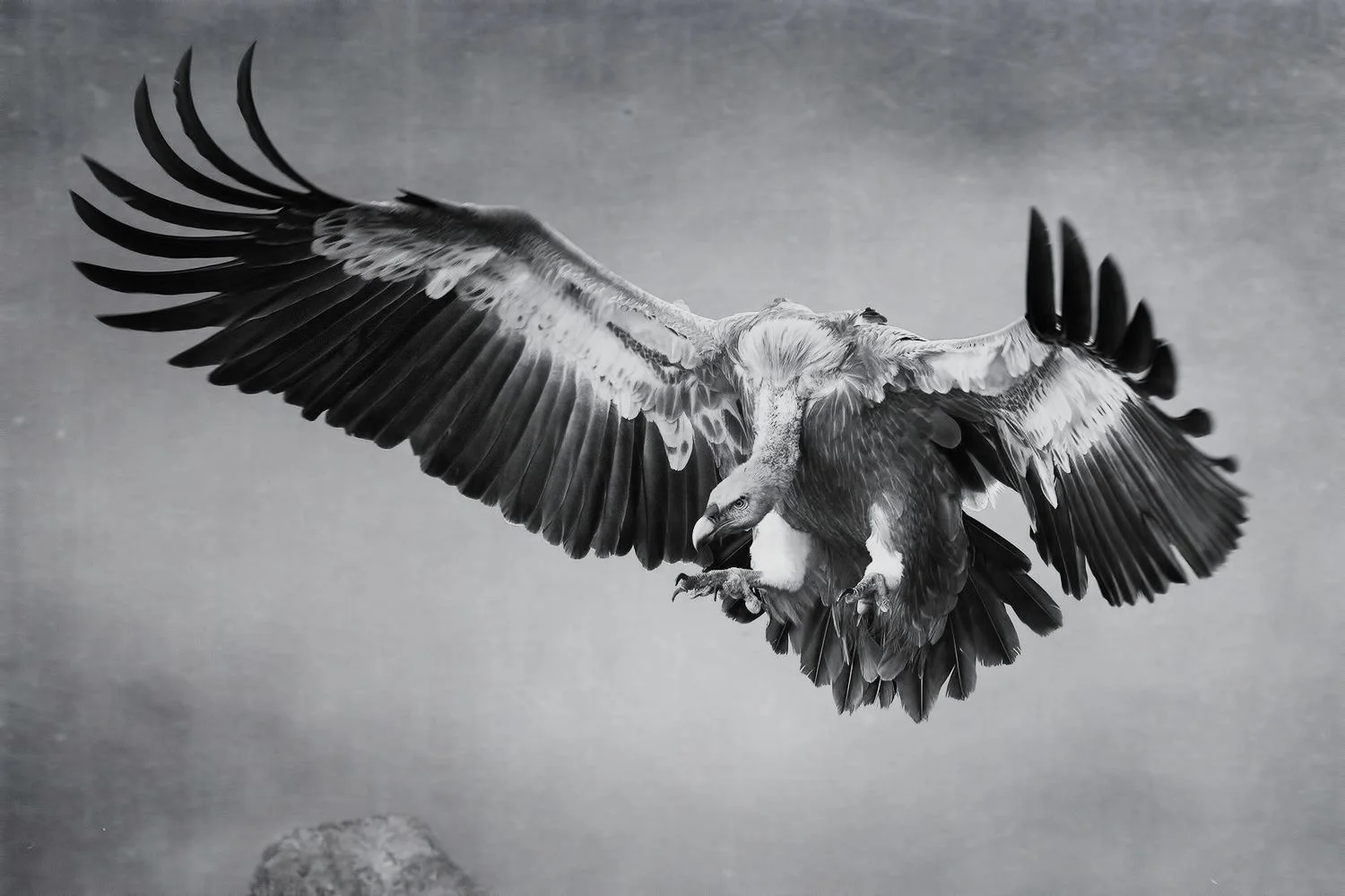 WHAT THE HELL IS GOING ON?