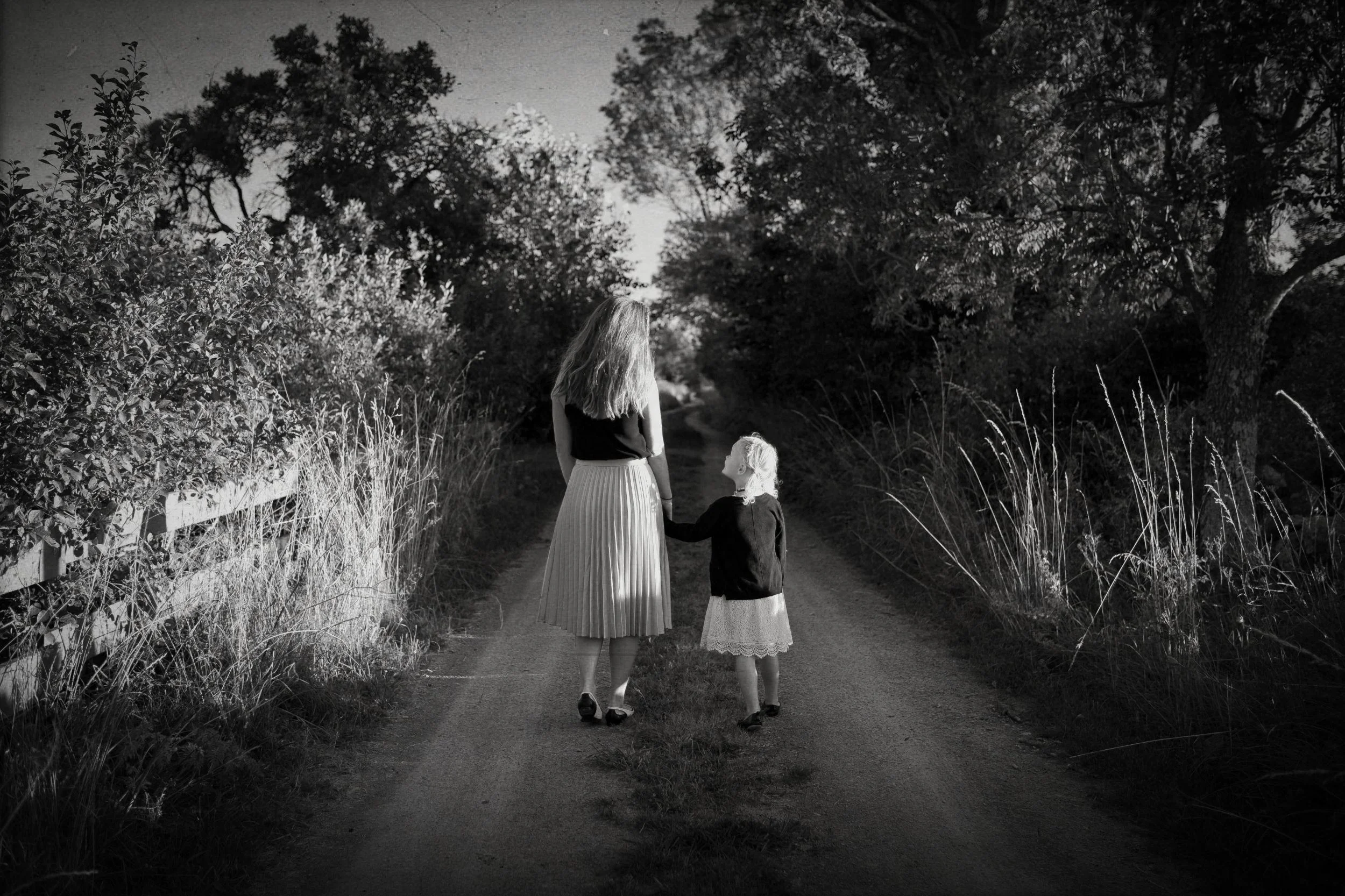 PSYCHOTHERAPY DISTINGUISHING FEATURE #1:  DEVELOPING THE MIND