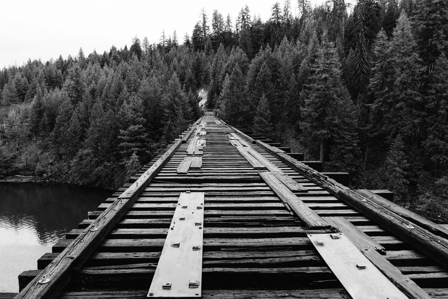 photo-1418065627792-f7e0db035ac3.jpeg