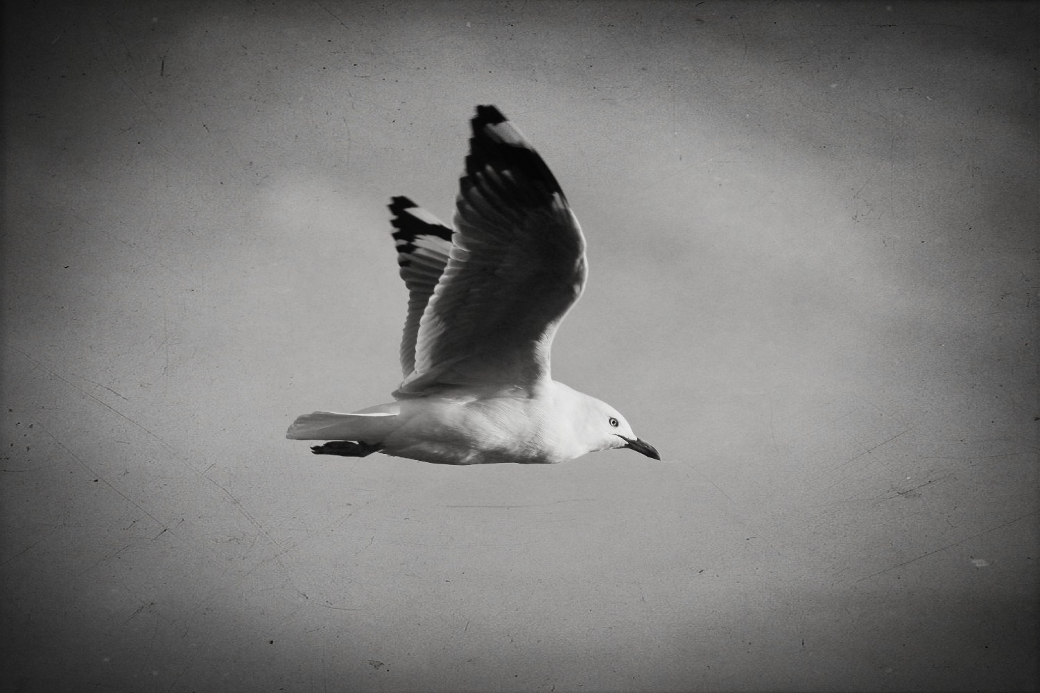 Leaving when it's working