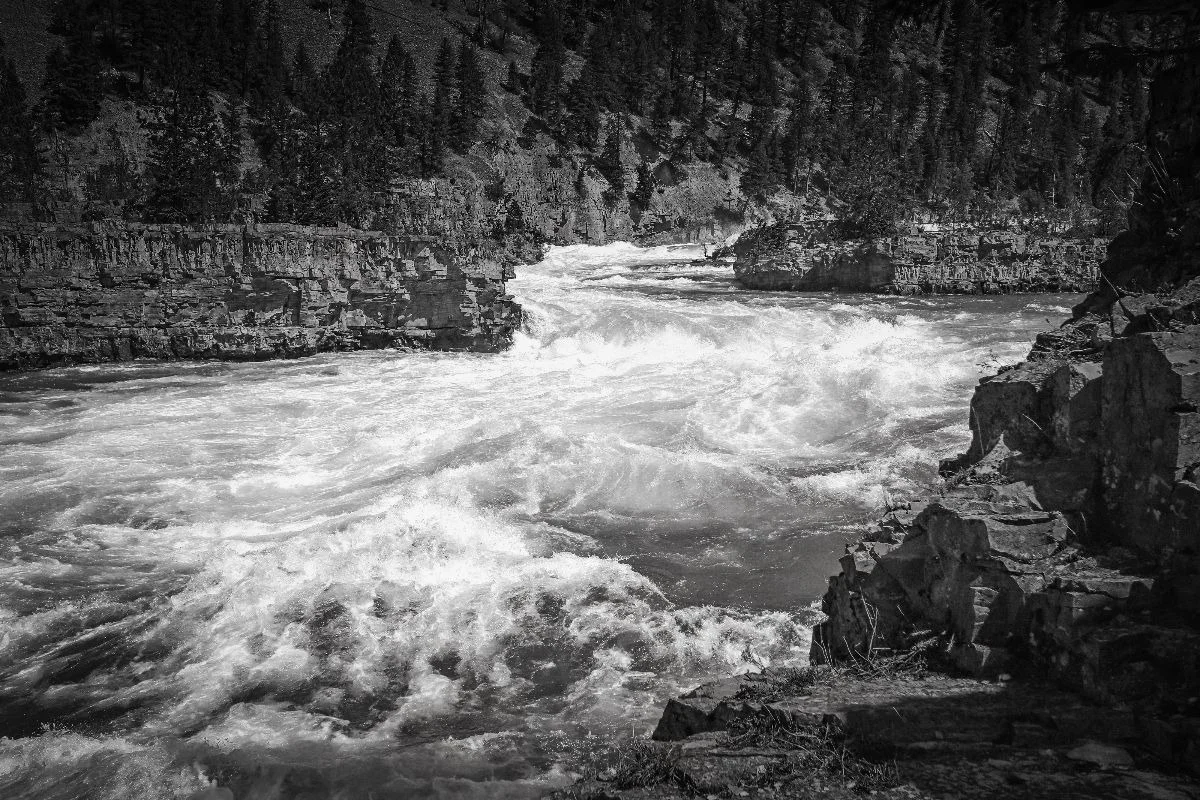 I did not come to teach you