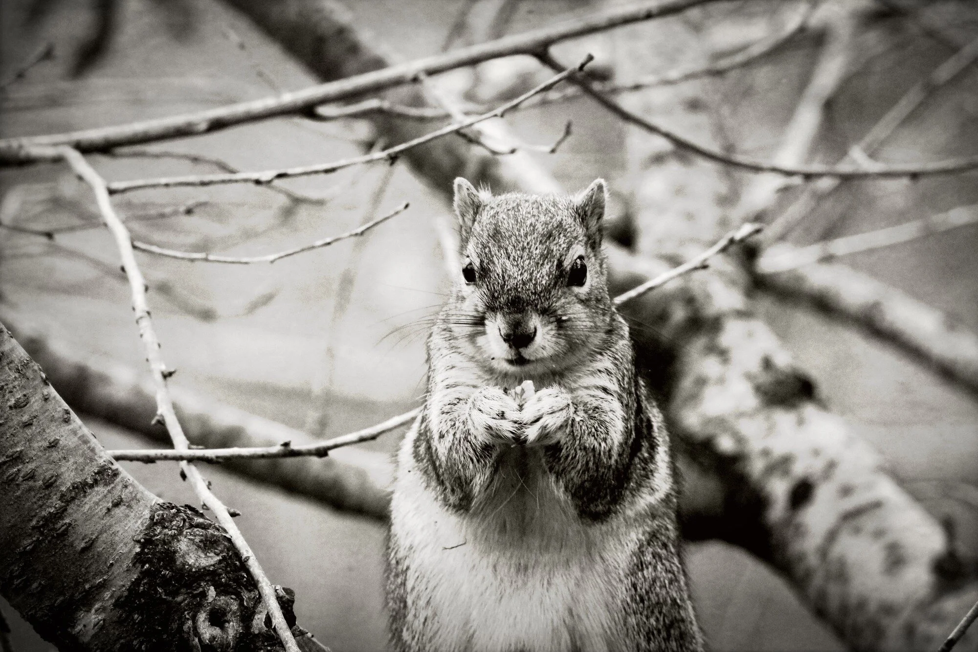 What is psychotherapy?