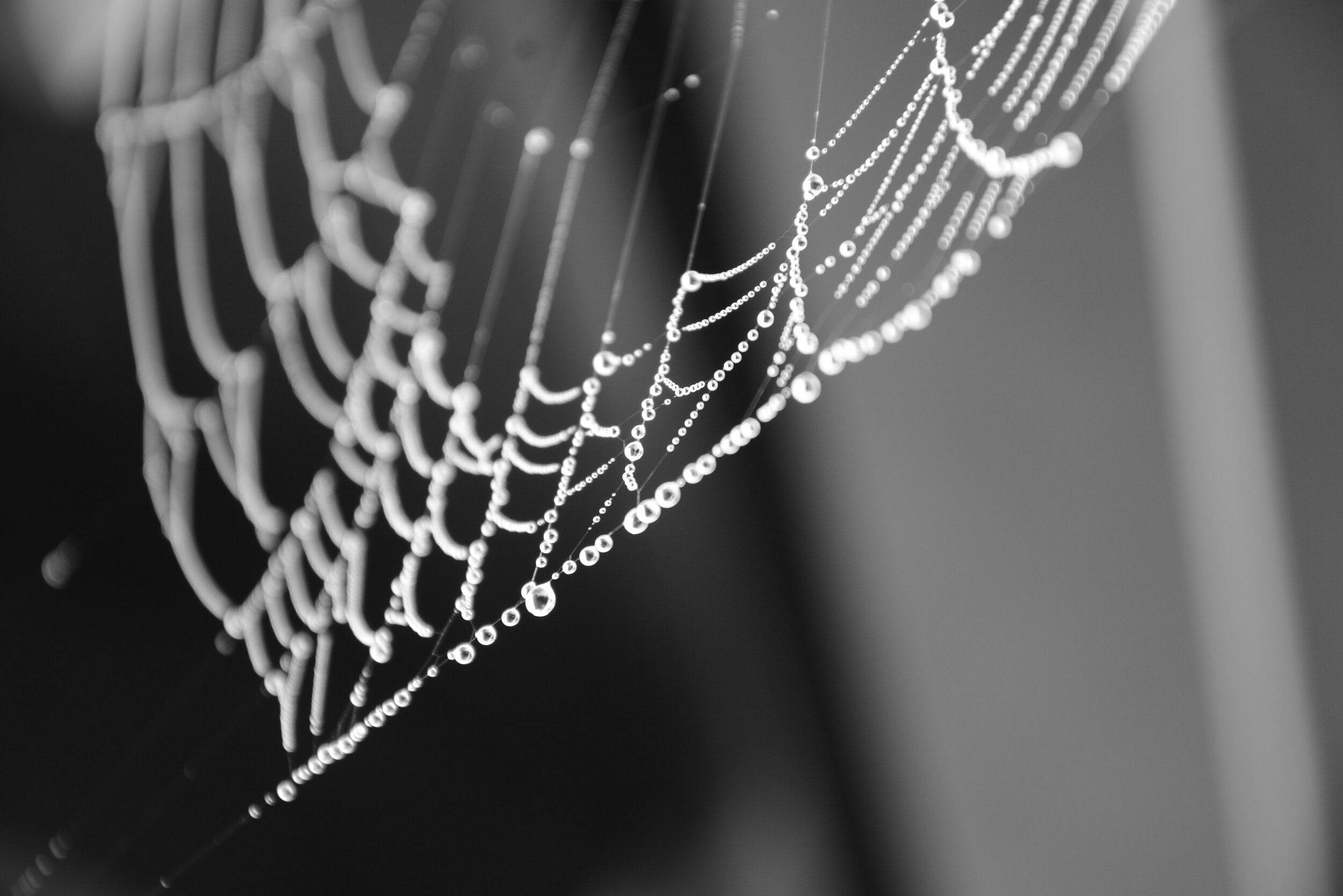 Deeper Waters, Indeed