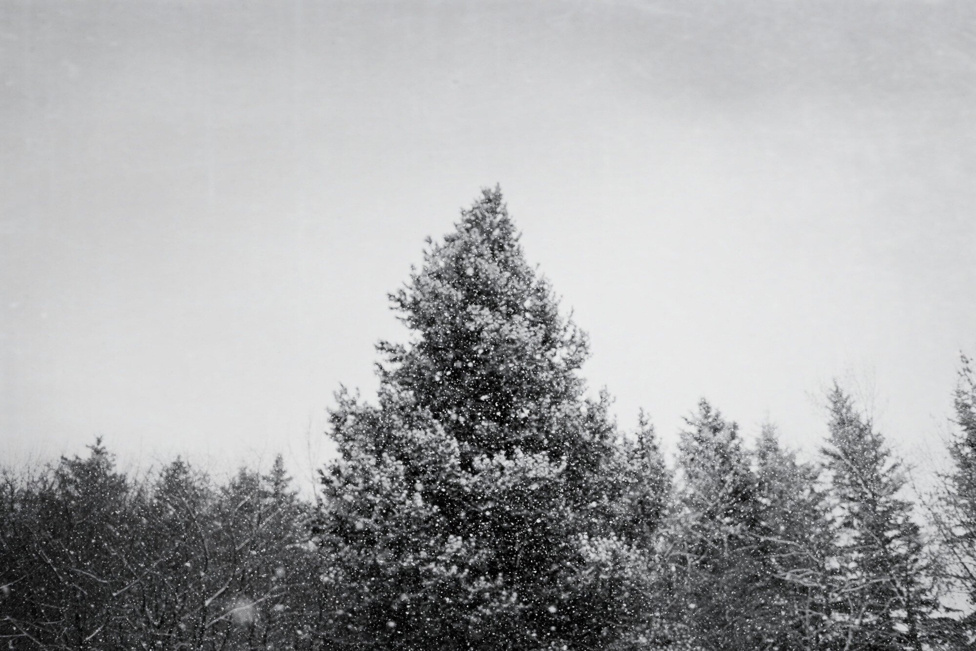 We're not going to think our way out of this