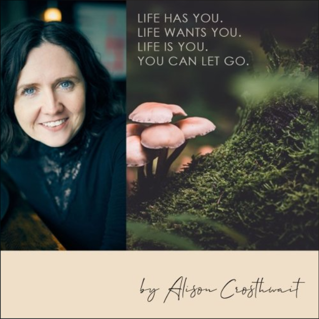 Life has you. Life wants you. Life is you. You can let go.