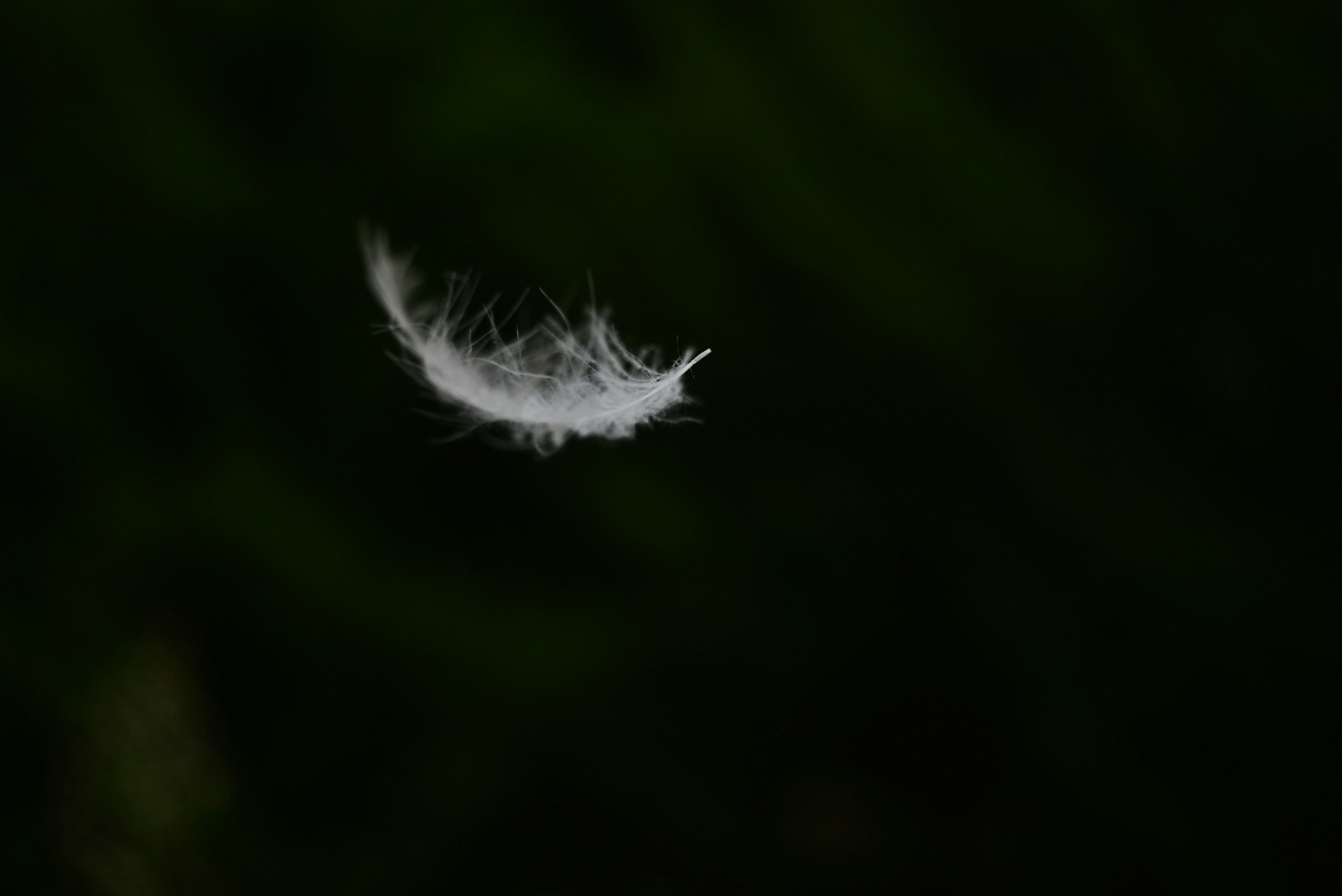 The Ambient Dissociation of Being Alive in 2025