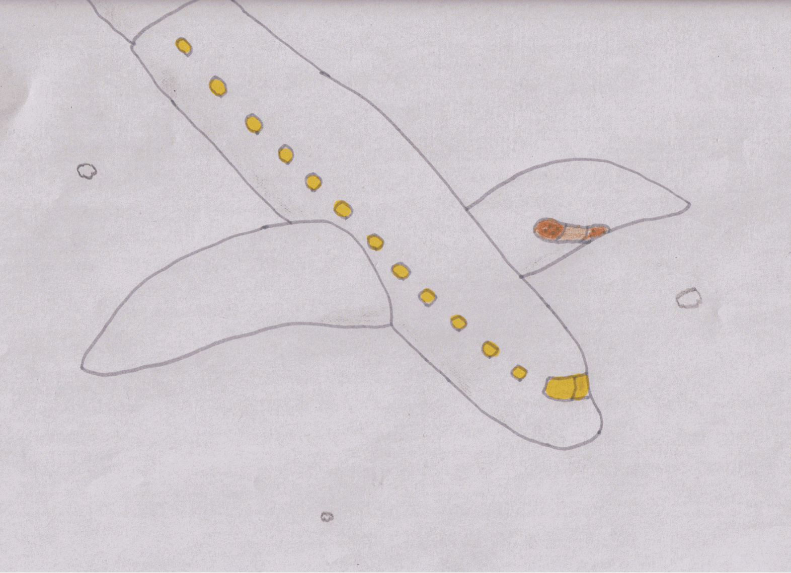 plane_02.gif