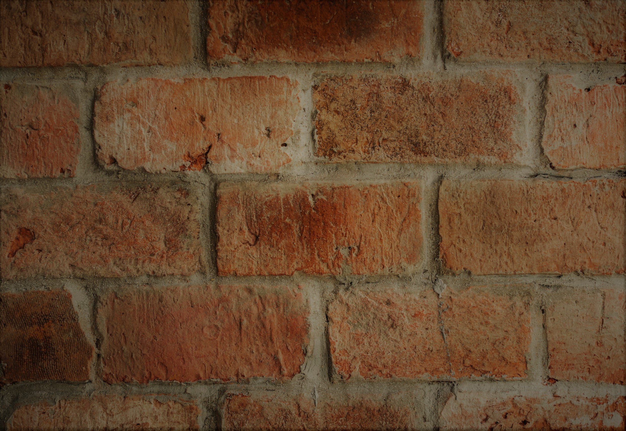bricks-brickwall-brickwork-938968 Sunscreen.jpg