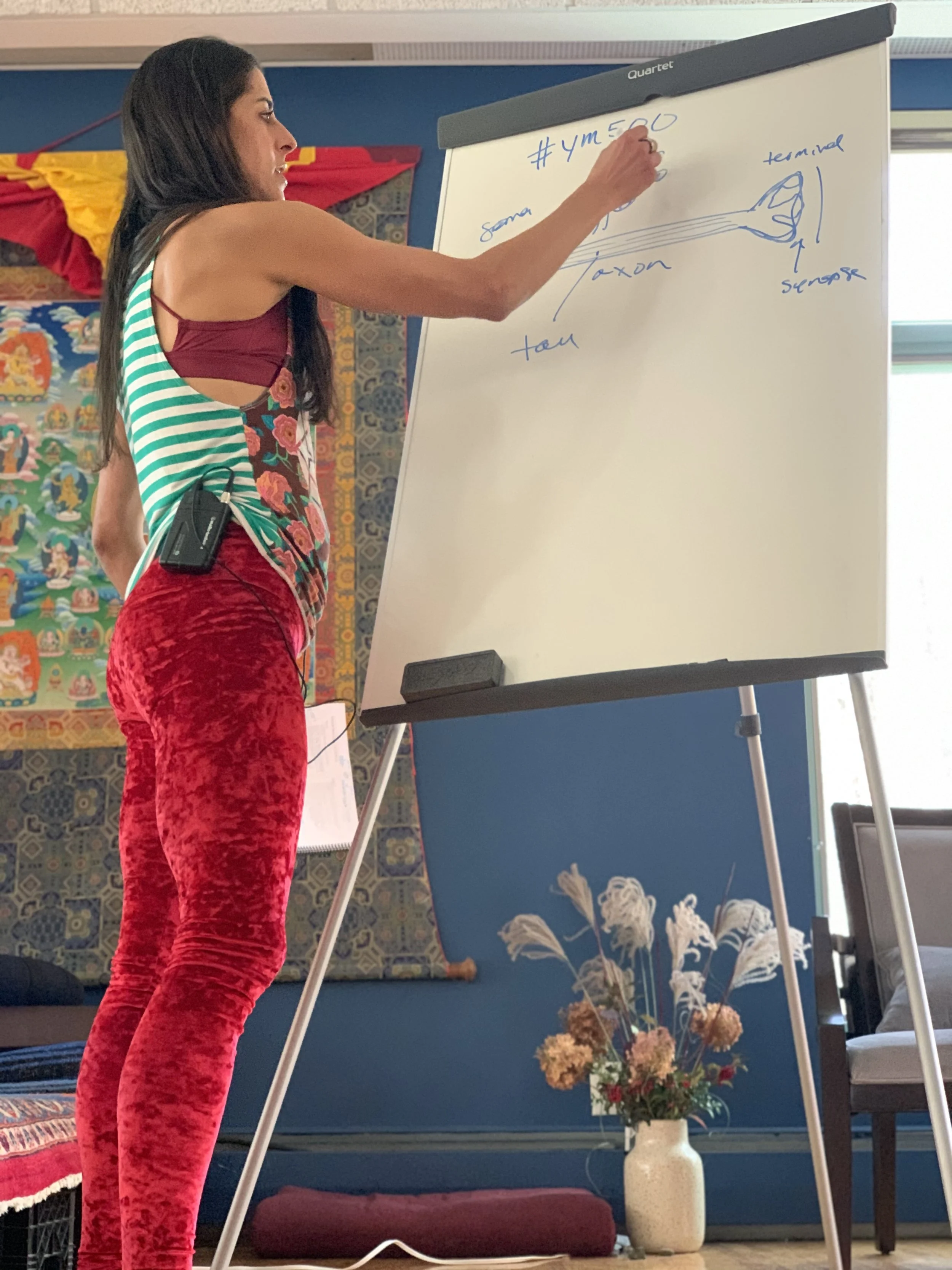 Yoga Medicine's Nervous System and Restorative Yoga Week at Menla Mountain Retreat