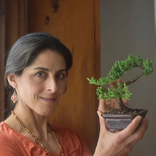 Are you interested in living your healthiest life right now and avoiding the diseases of old age?  Come check out my latest blog on how yoga can supplement your DIY longevity prescription.  http://www.medicinewithinco.com/blog/2020/2/13/yoga-as-a-sup