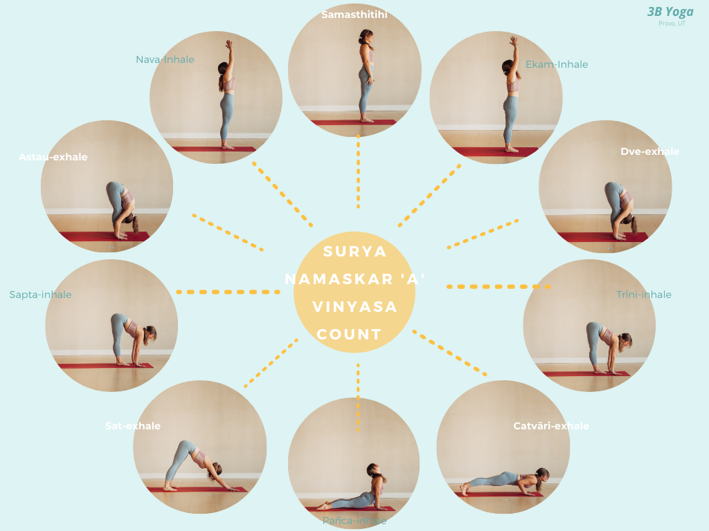 Surya Namaskar Counting