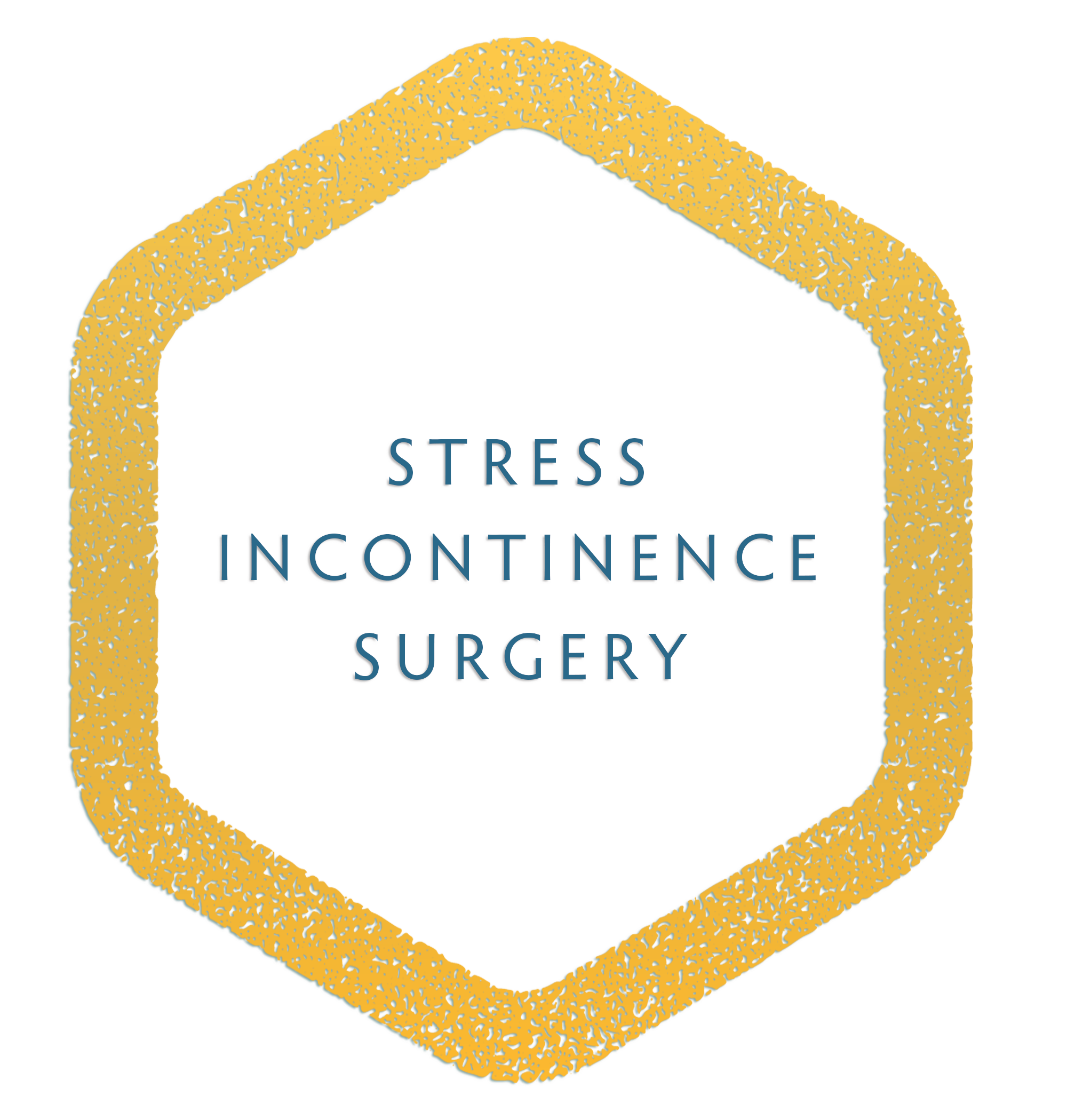 STRESS INCONTINENCE SURGERY.png