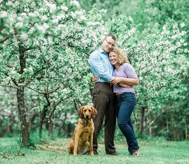 What better place to capture  love than  blooming apple orchards @brownhenfarm Congratulations to Annie @annie.brownlee and Tom! In less than four weeks this sweet couple will get marries🌈 💐🌹🌹🌹
.
.
.
.
.
.
.
#alaskaweddings #rawsomephotography #brownhenfarm #alaskaphotographer #bloomingappleorchards #mastinlabspresets #nikond850 #teamnikon #alaskaweddingphotographer