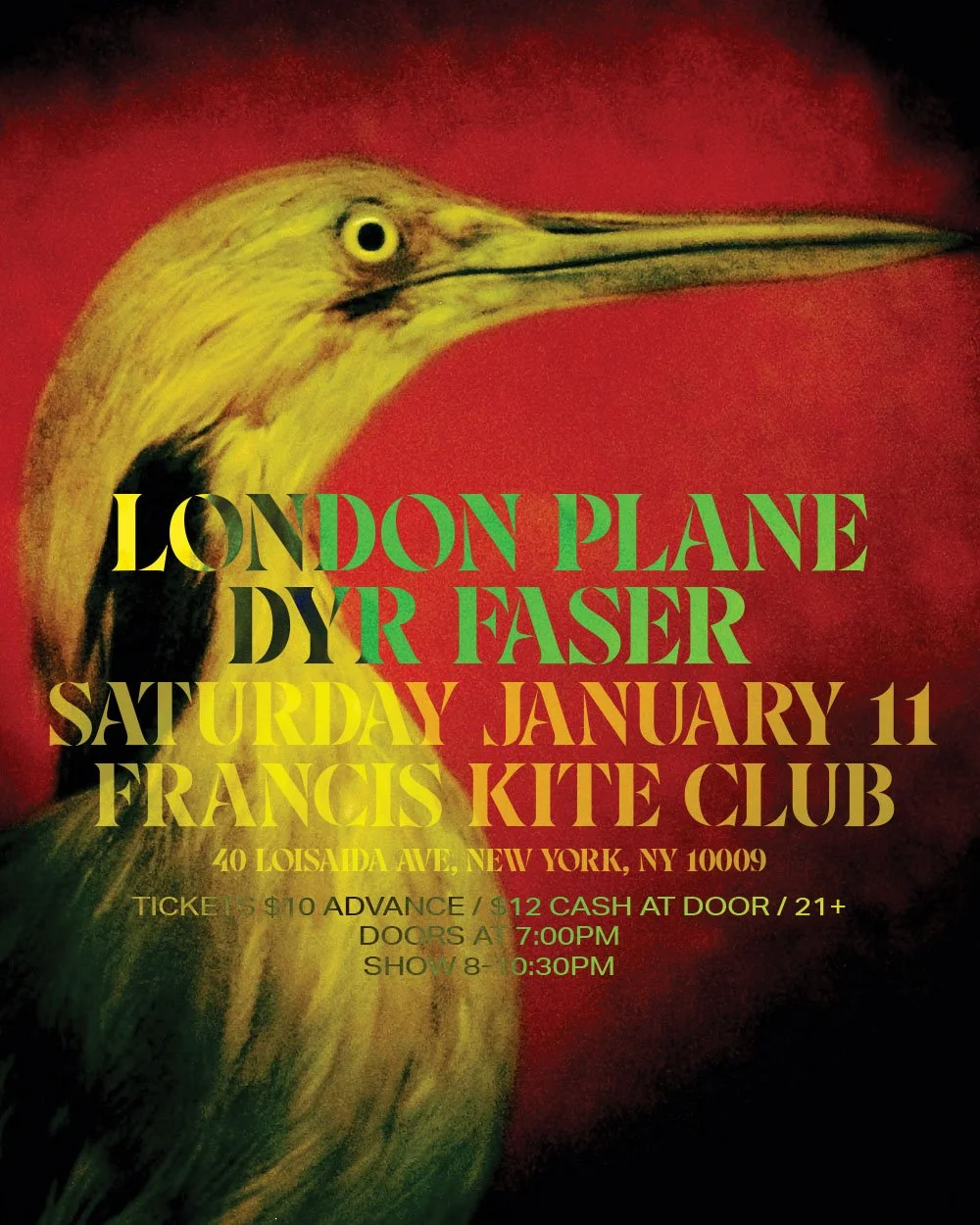 London Plane FKK 11125.jpg