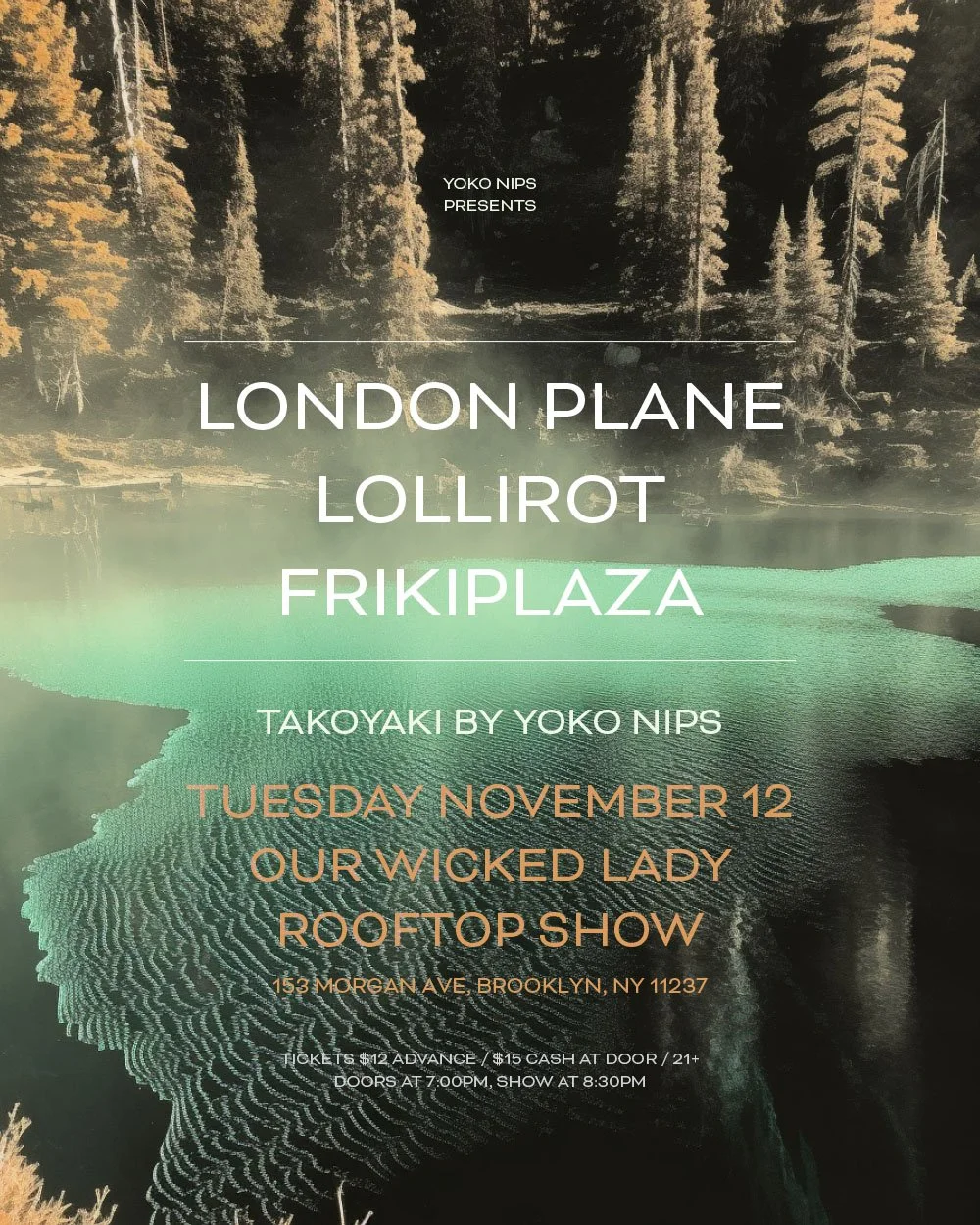 London Plane OWL 111224.jpg