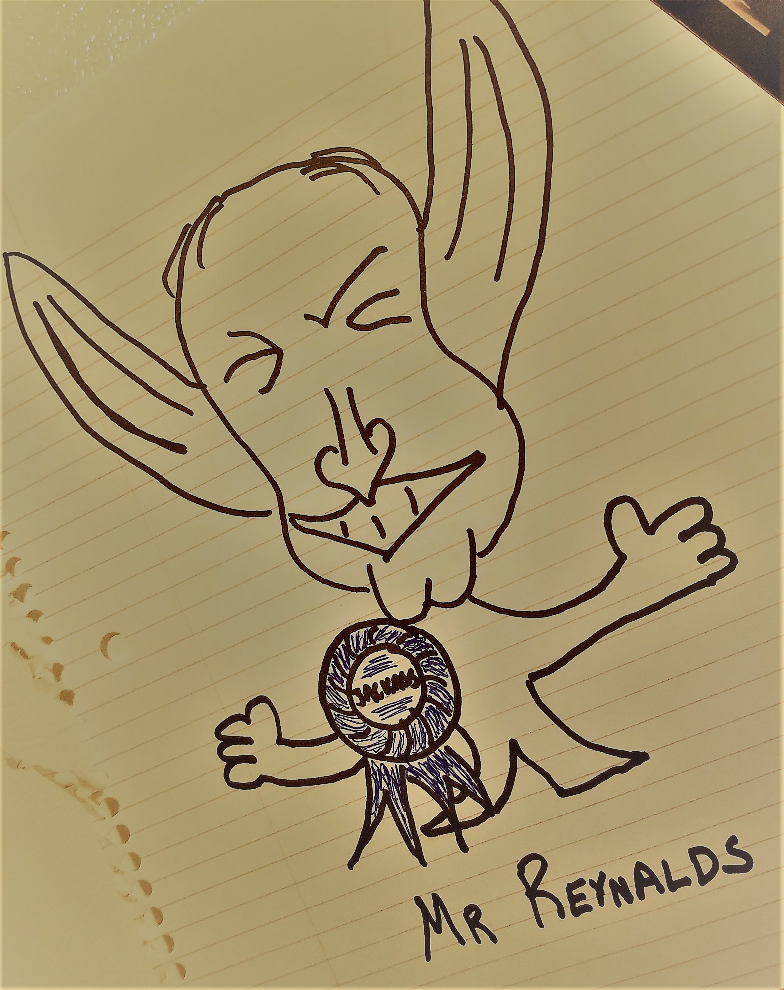 Mr Reynolds.jpg