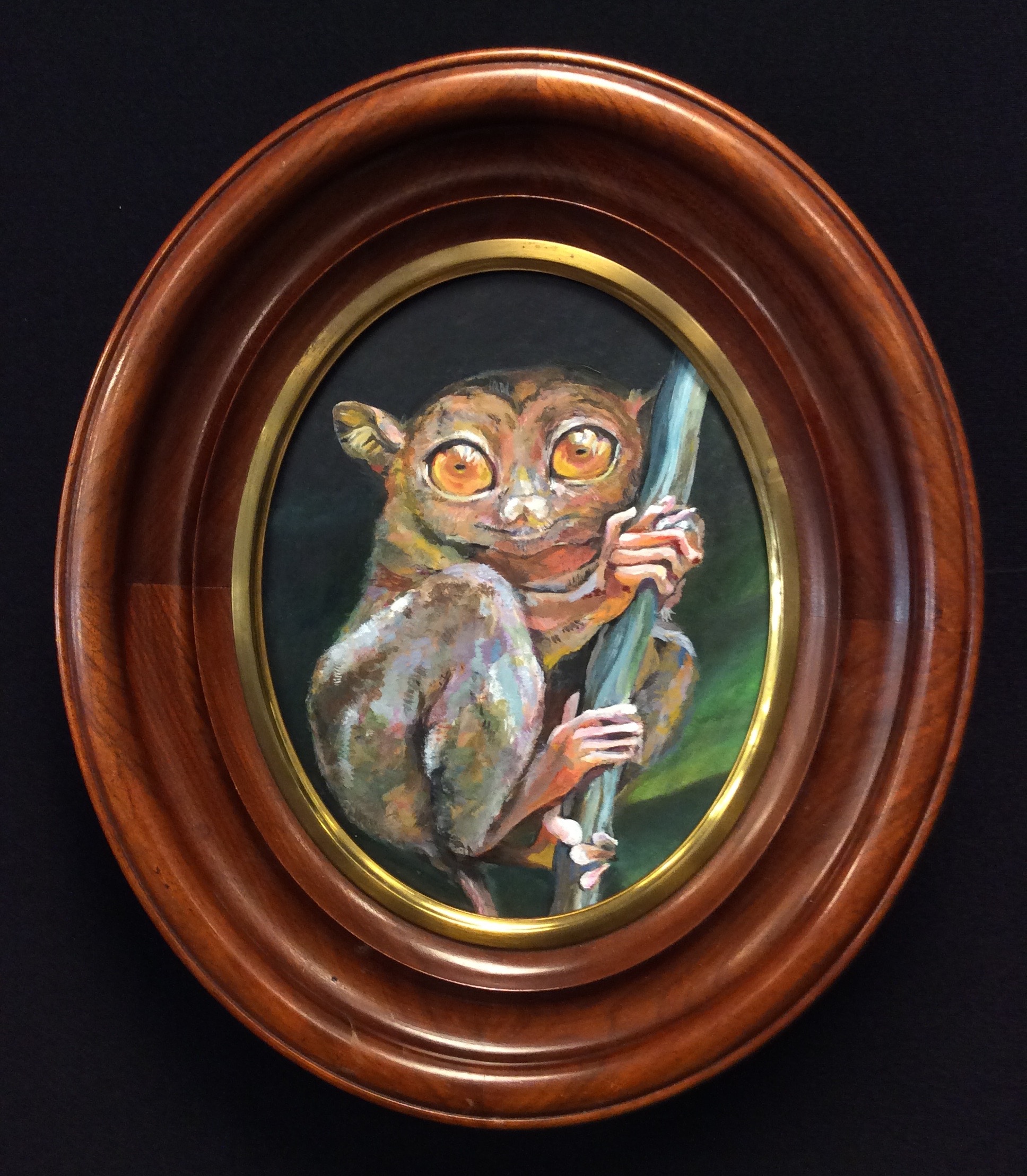 tarsier.jpg