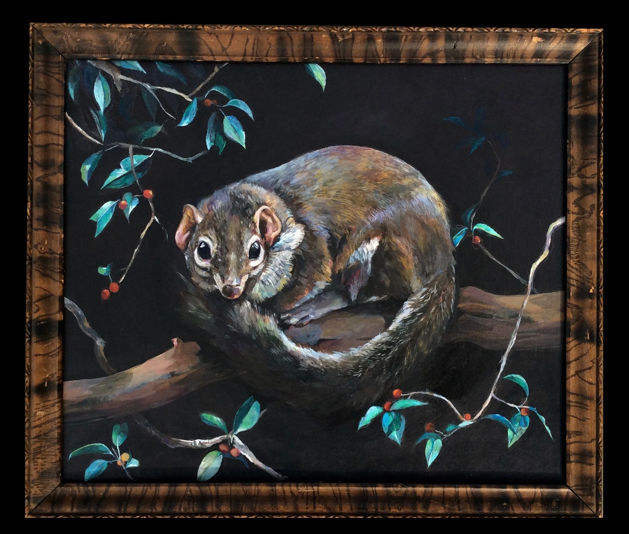 treeshrew.jpg