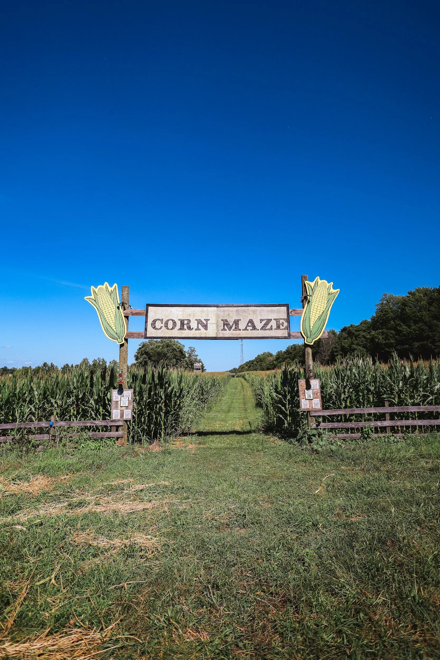 Youth Poppel Farms Trip