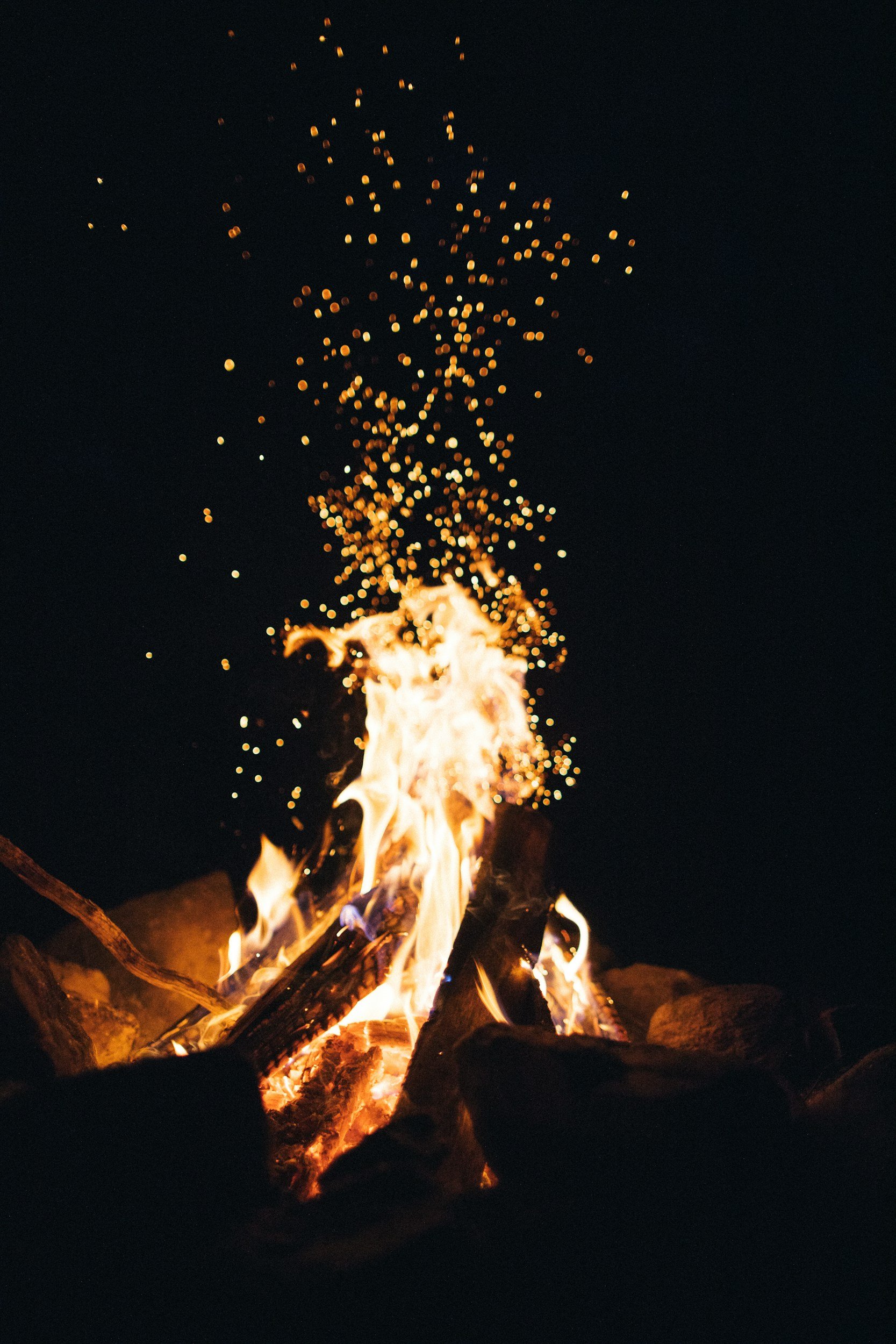 Family Night Around the Firepit