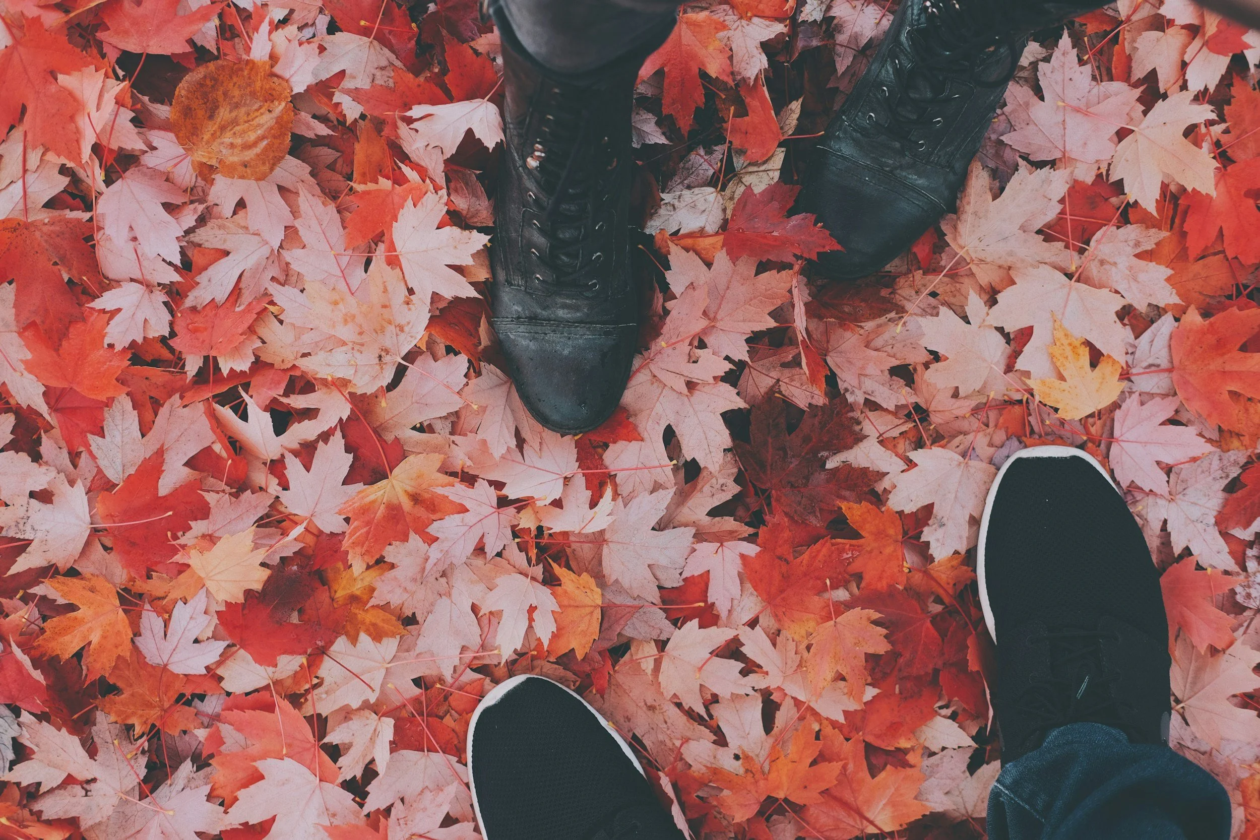Fall in Love Date Night