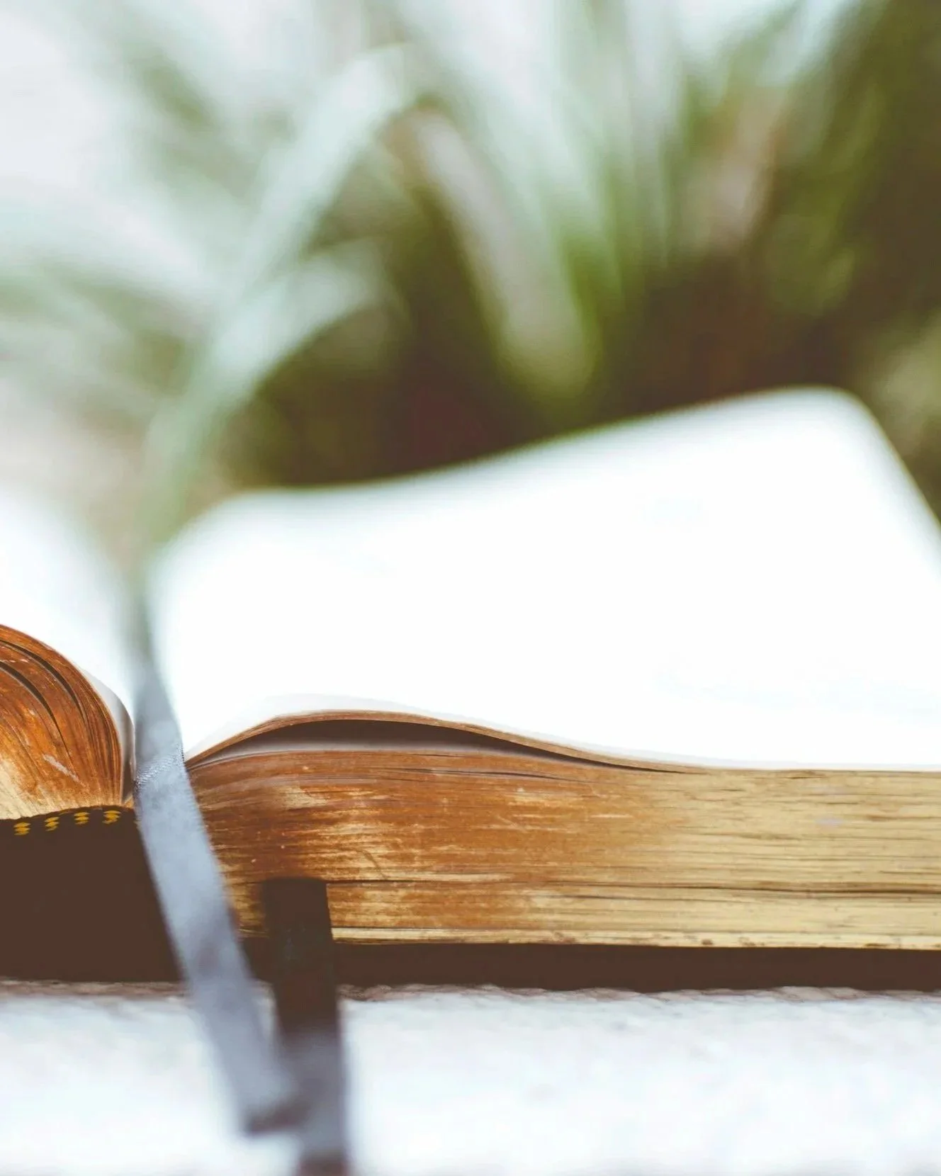 Adult Bible Study