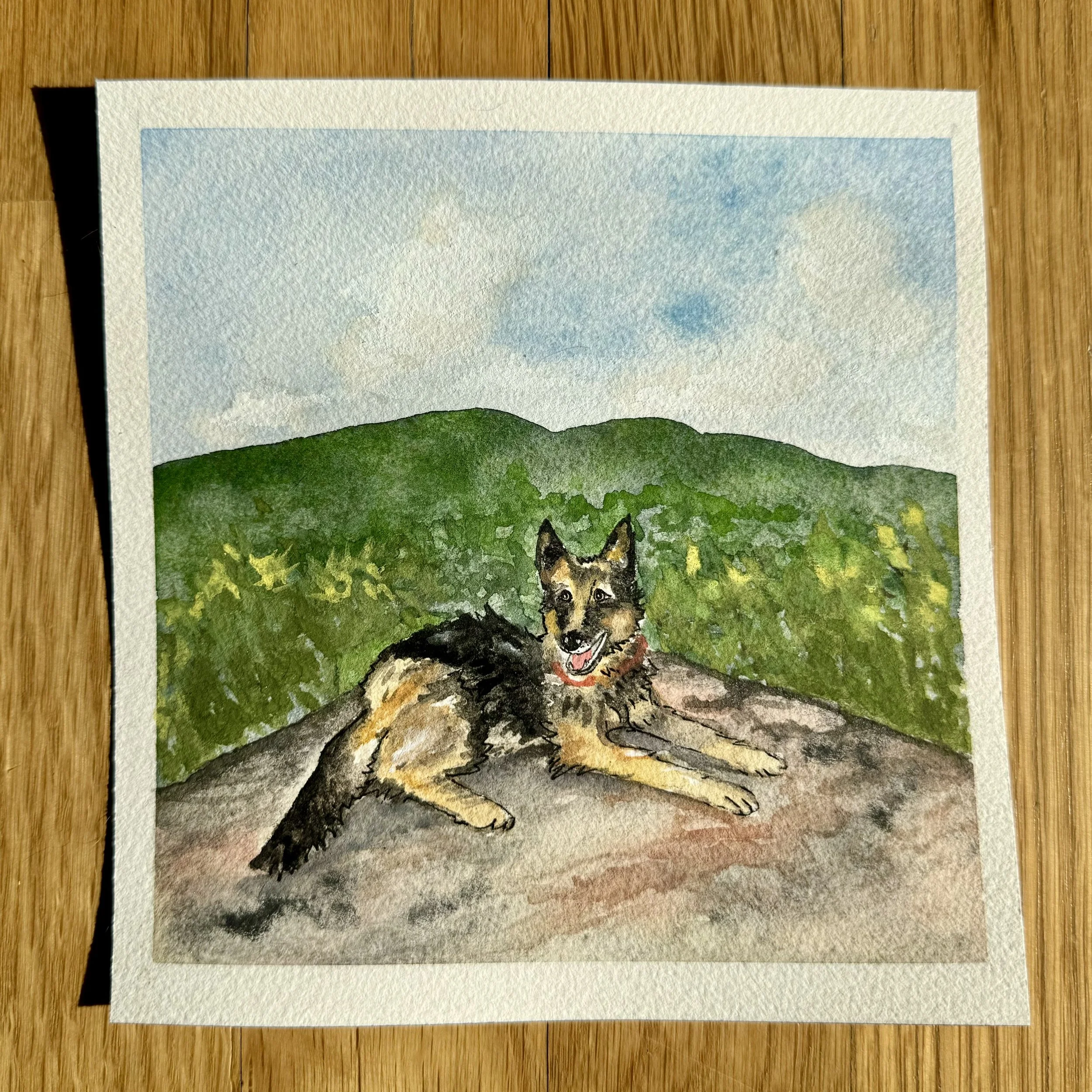 IMG_0903.jpeg