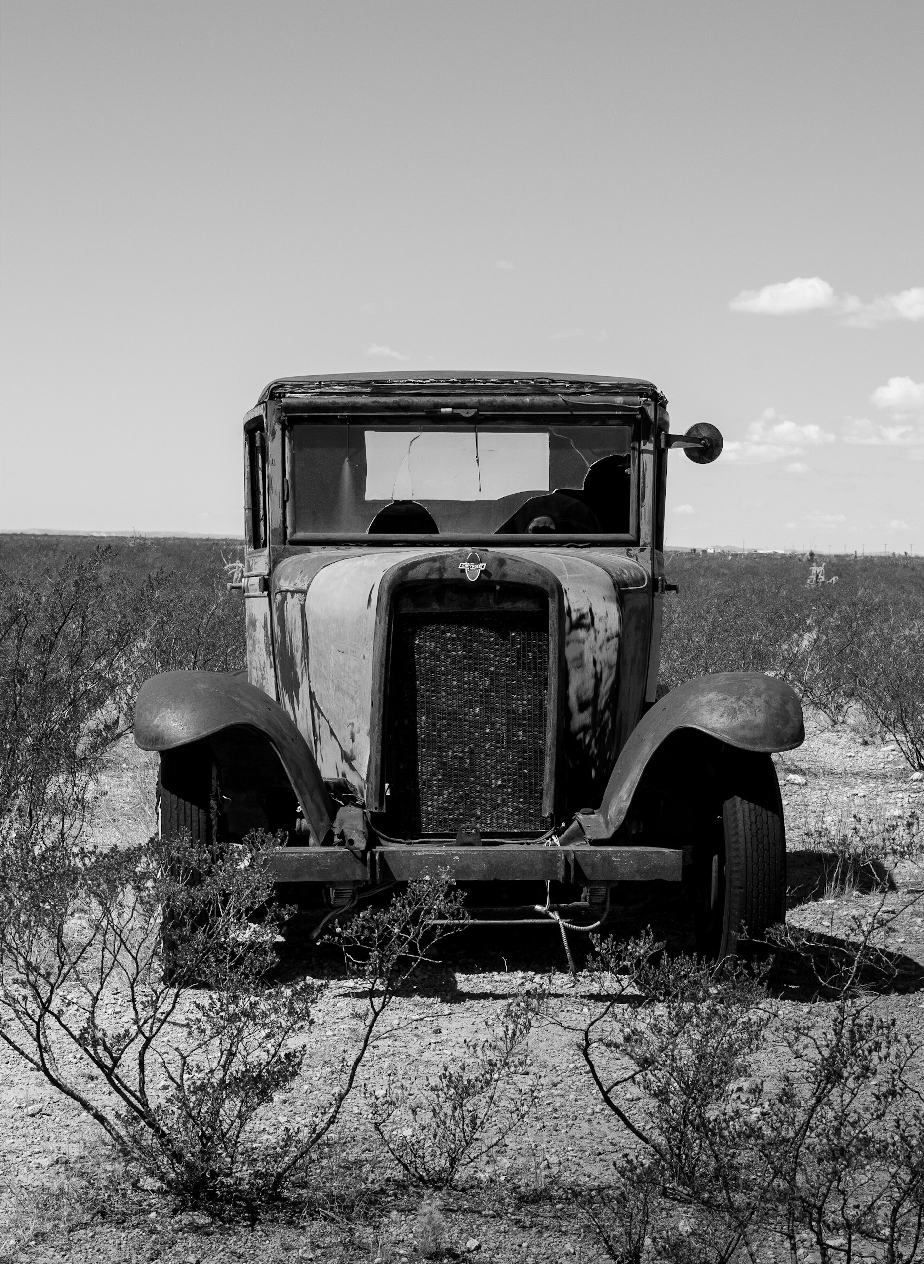 DSC_0547.jpeg