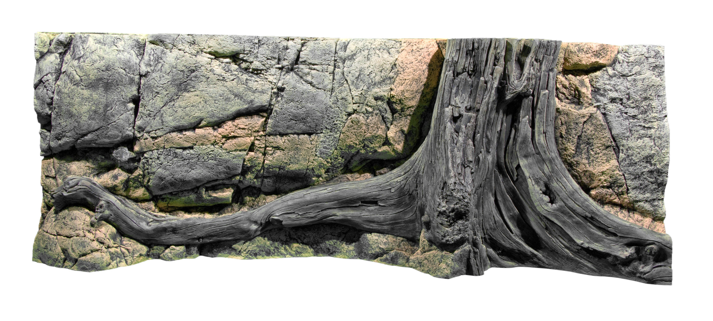 03000001Amazonas 80-160cm.jpg