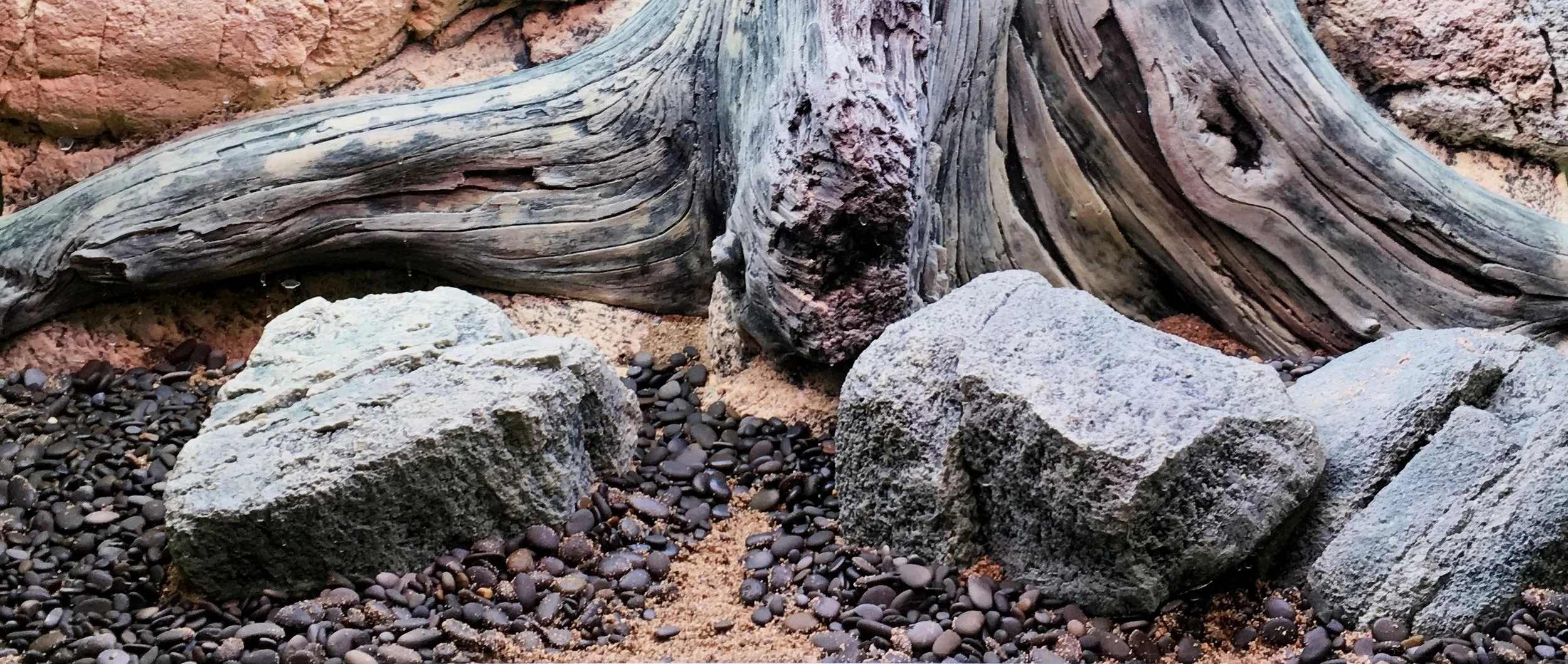 RiverStonesslim_Amazonasbackground.jpg